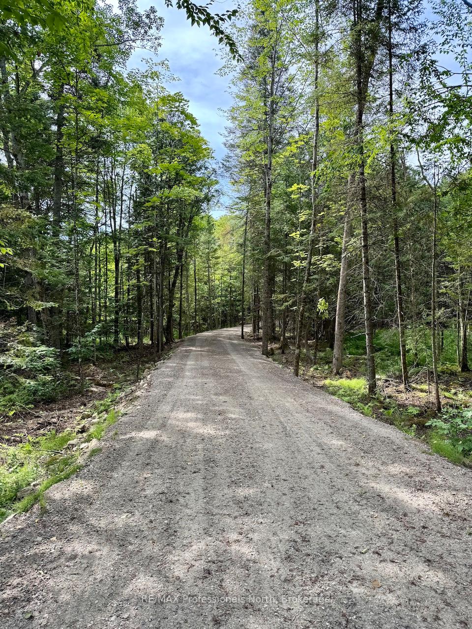 Photo 10 of Tom Bolton Road, Minden Hills, Minden — HOMEH