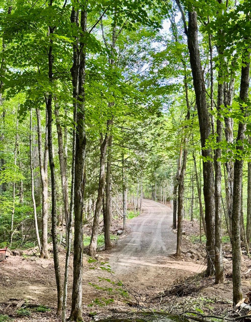 Photo 5 of Tom Bolton Road, Minden Hills, Minden — HOMEH