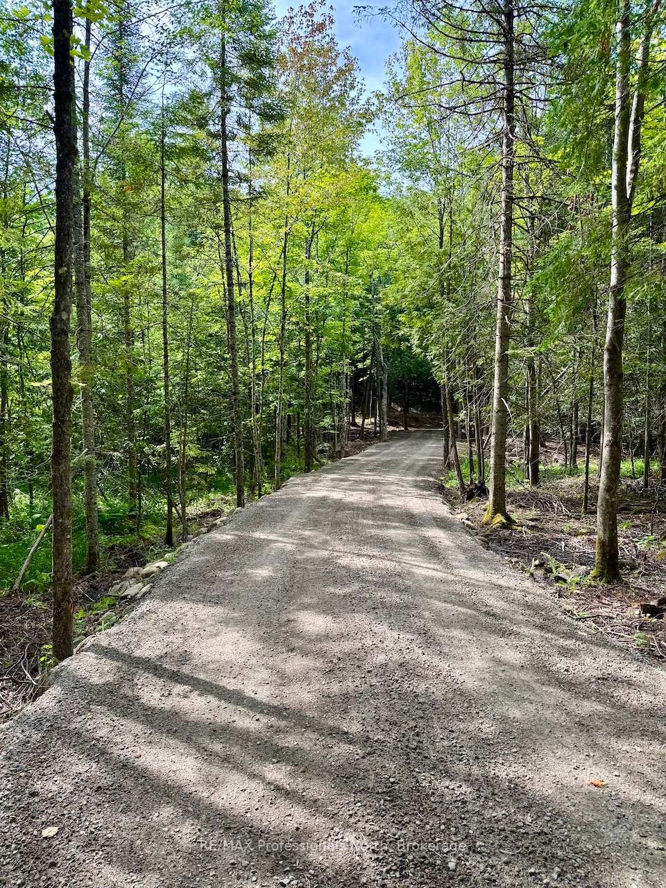 Photo 4 of Tom Bolton Road, Minden Hills, Minden — HOMEH