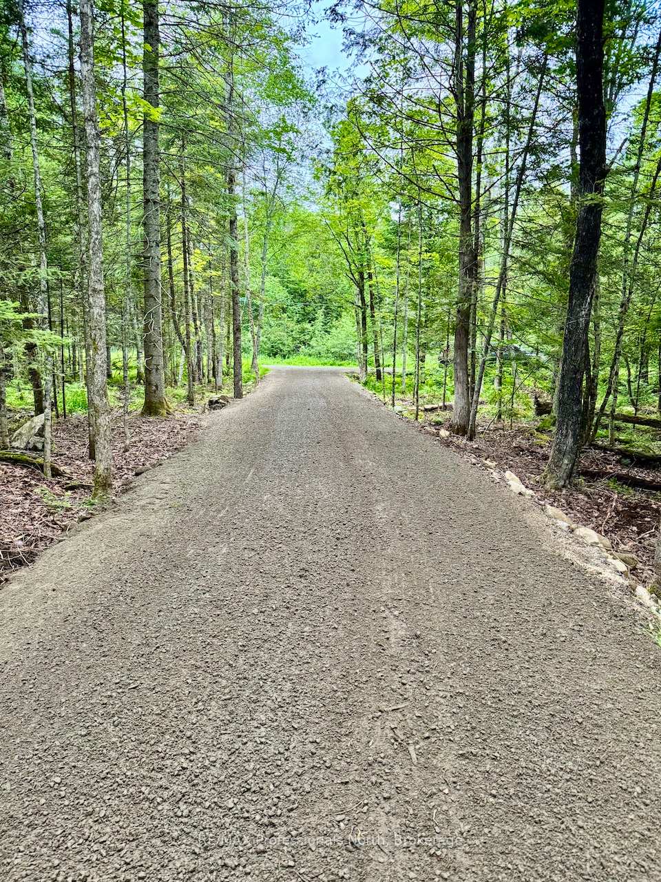 Photo 8 of Tom Bolton Road, Minden Hills, Minden — HOMEH