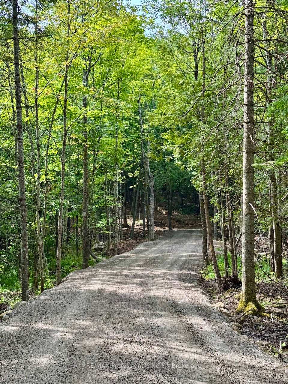 Photo 13 of Tom Bolton Road, Minden Hills, Minden — HOMEH