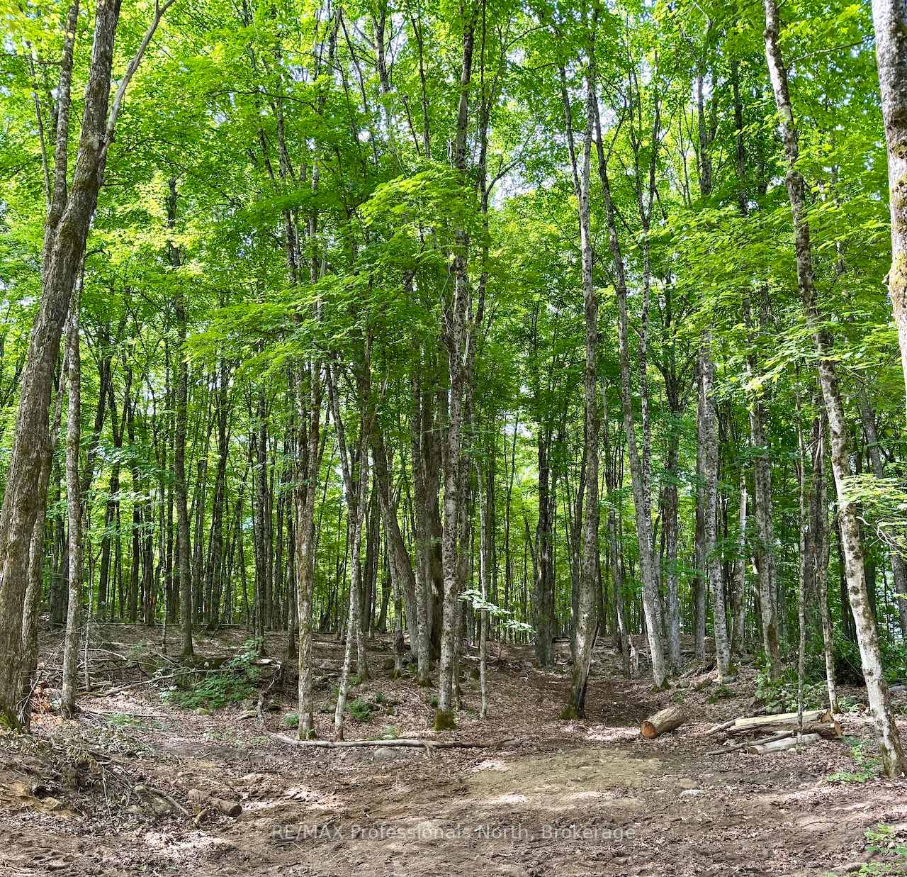 Photo 2 of Tom Bolton Road, Minden Hills, Minden — HOMEH