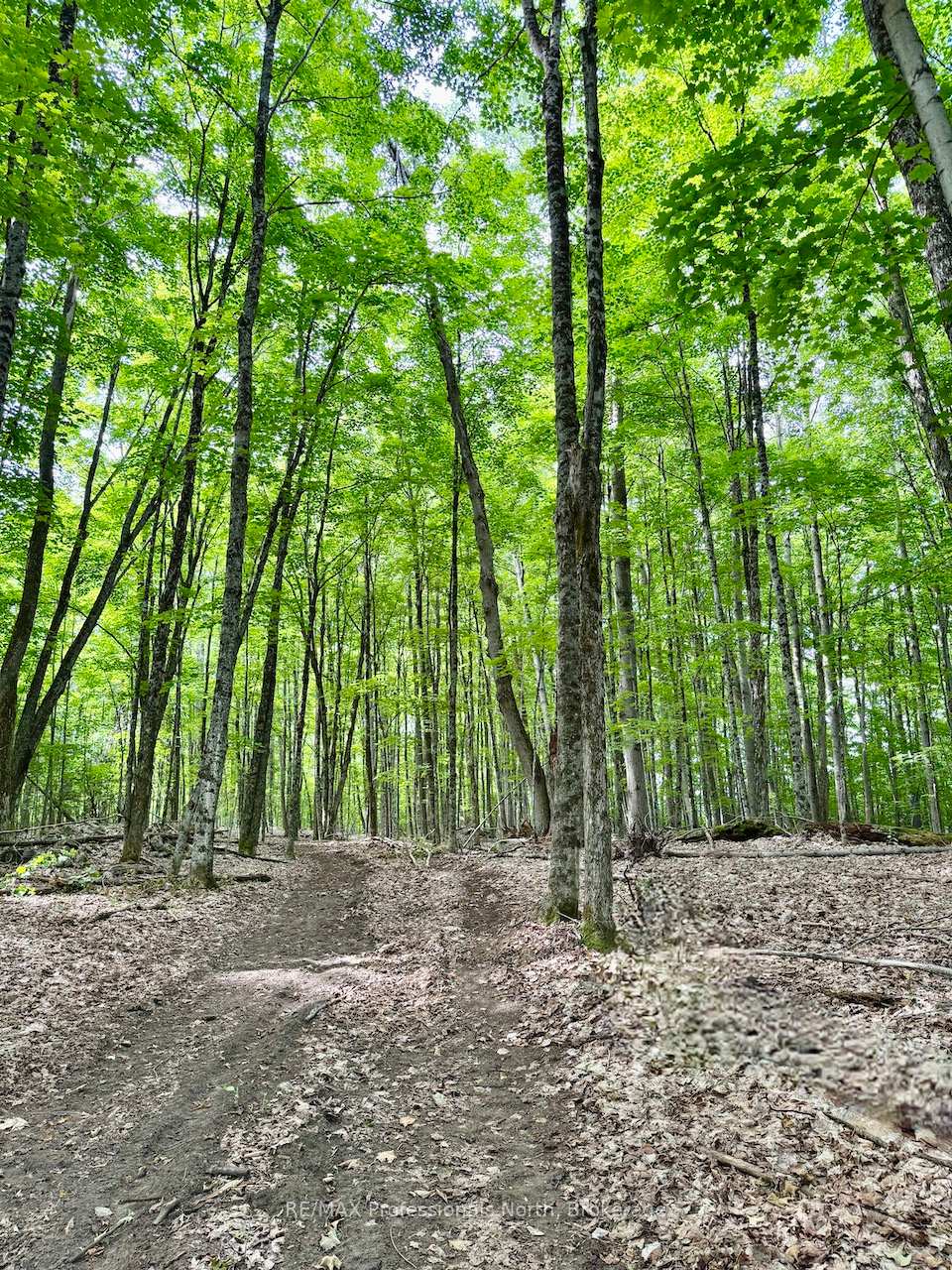 Photo 11 of Tom Bolton Road, Minden Hills, Minden — HOMEH