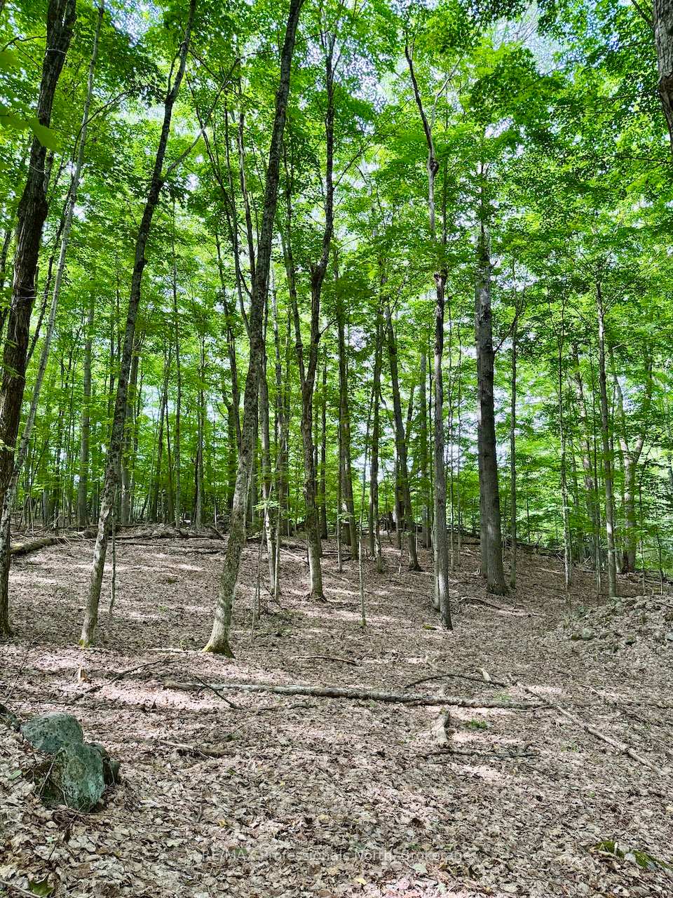 Photo 9 of Tom Bolton Road, Minden Hills, Minden — HOMEH