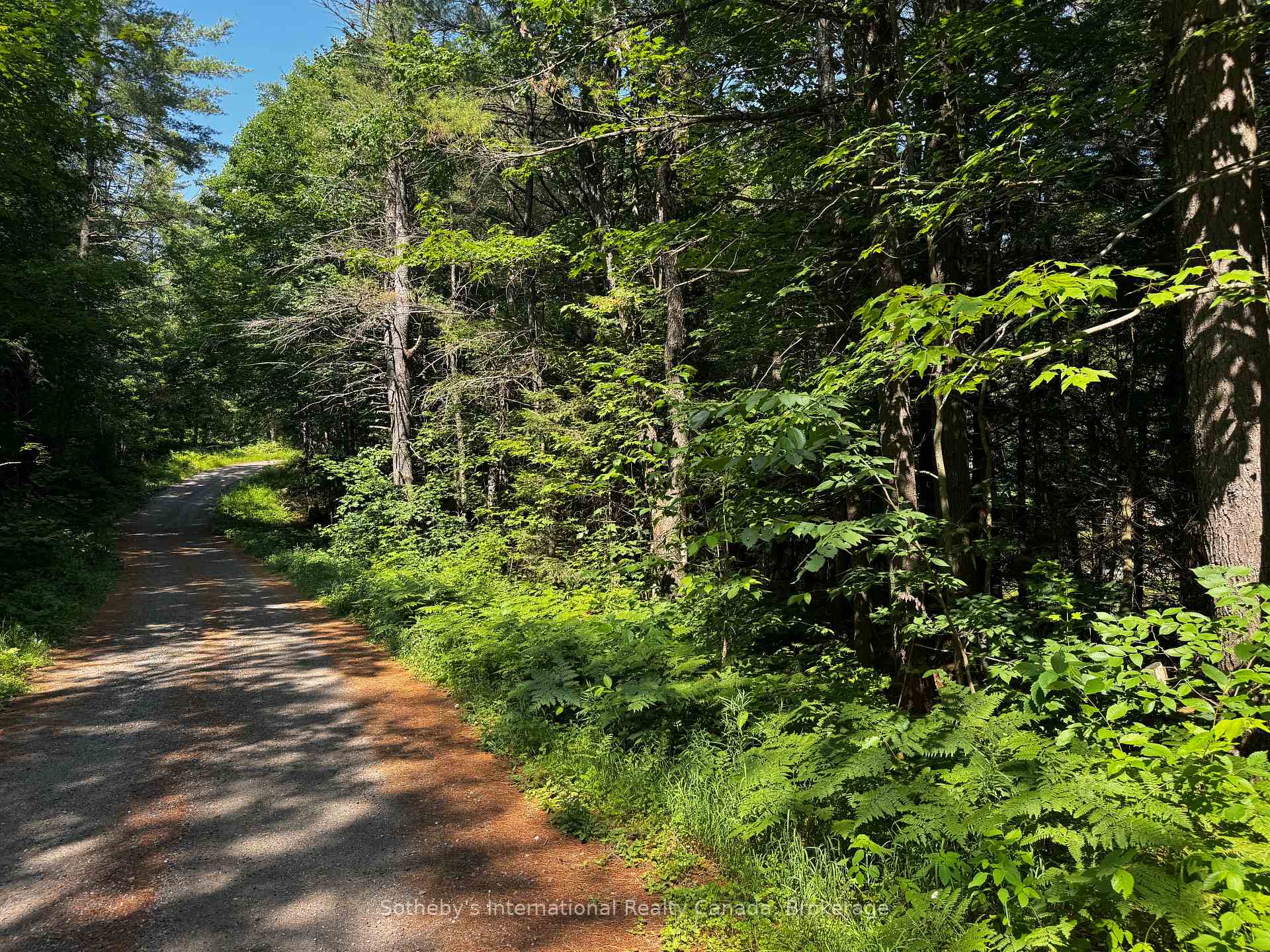 Photo 6 of Kirk Line, Bracebridge, Macaulay — HOMEH