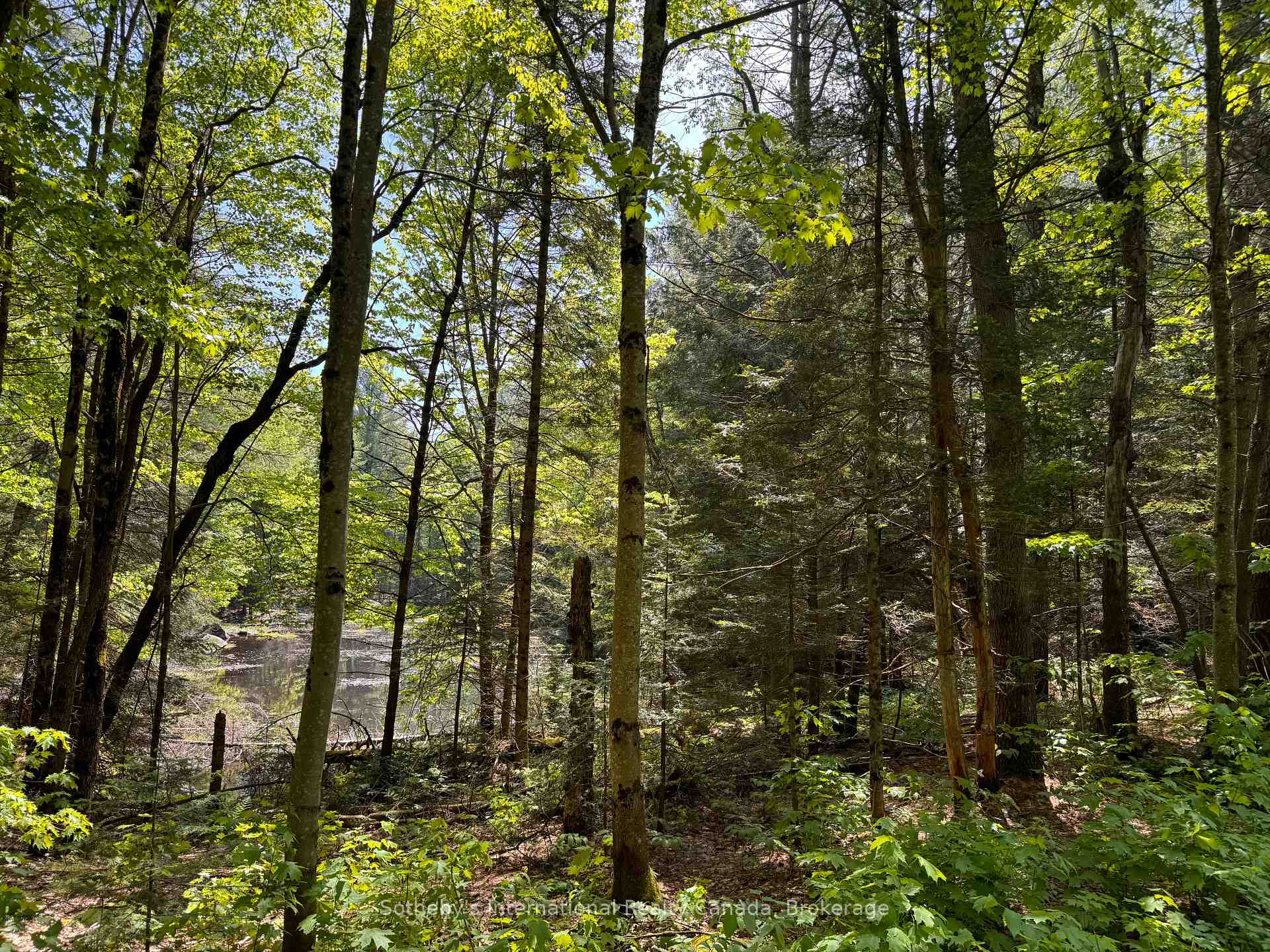 Photo 2 of Kirk Line, Bracebridge, Macaulay — HOMEH