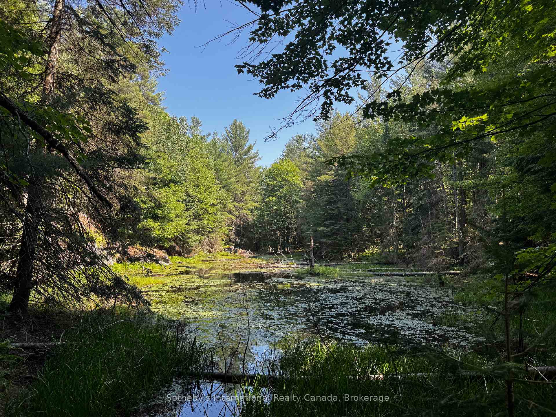 Photo 4 of Kirk Line, Bracebridge, Macaulay — HOMEH