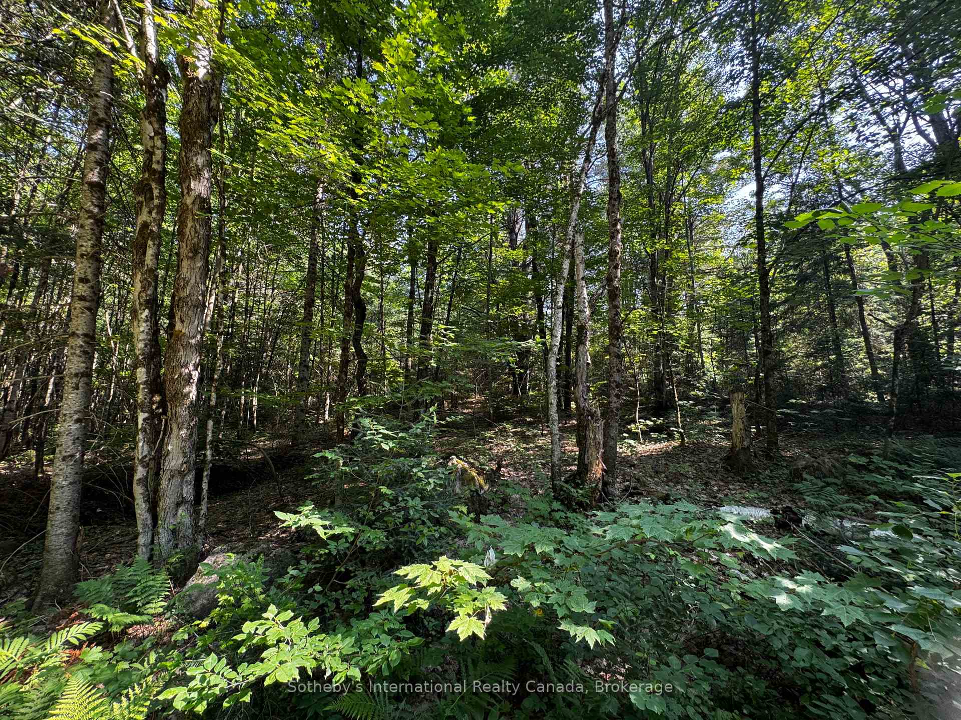 Photo 5 of Kirk Line, Bracebridge, Macaulay — HOMEH