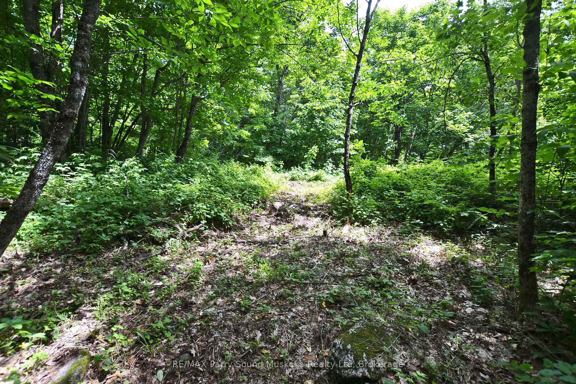 Photo 2 of Lot 1 Shields Drive, Seguin — HOMEH