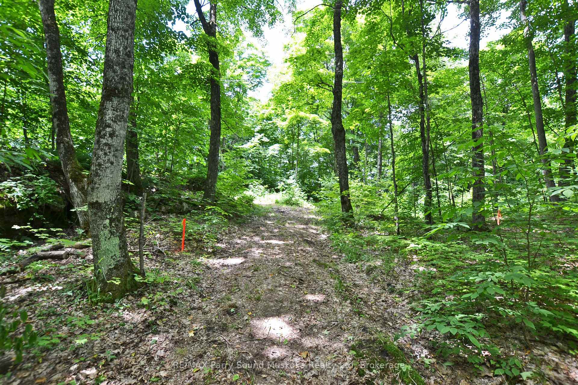 Photo 6 of Lot 1 Shields Drive, Seguin — HOMEH