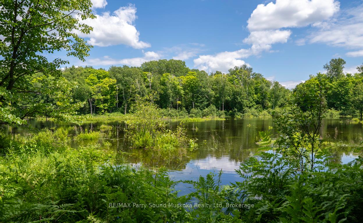 Photo 5 of 36 Long Lake Estates Road, McDougall — HOMEH