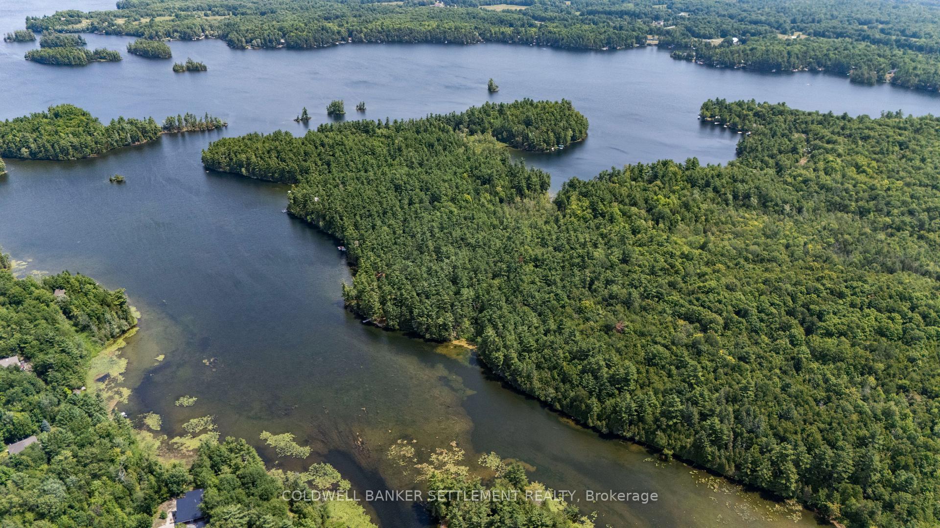 Front of 00 Otty Lake S/W Shore Road