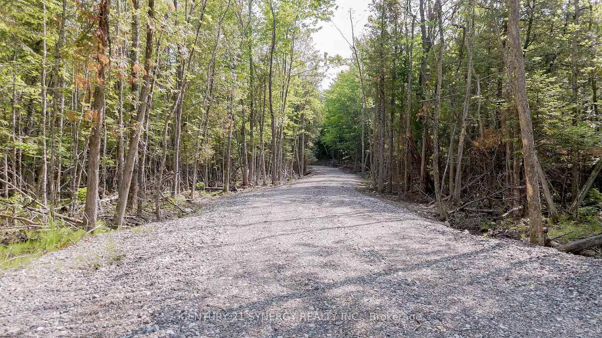 Photo 6 of 1124 Concession 6B Lanark, Lanark Highlands, Lanark Highlands (Lanark) Twp — HOMEH