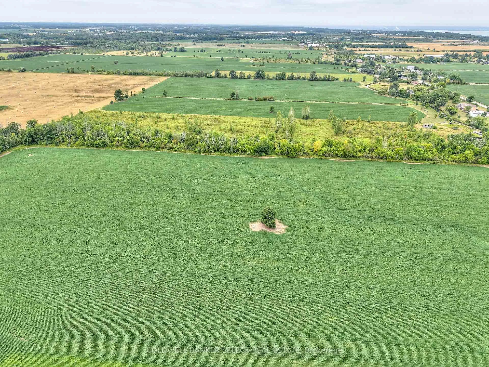 Photo 9 of 5 Alway Road, Grimsby, Grimsby Escarpment — HOMEH