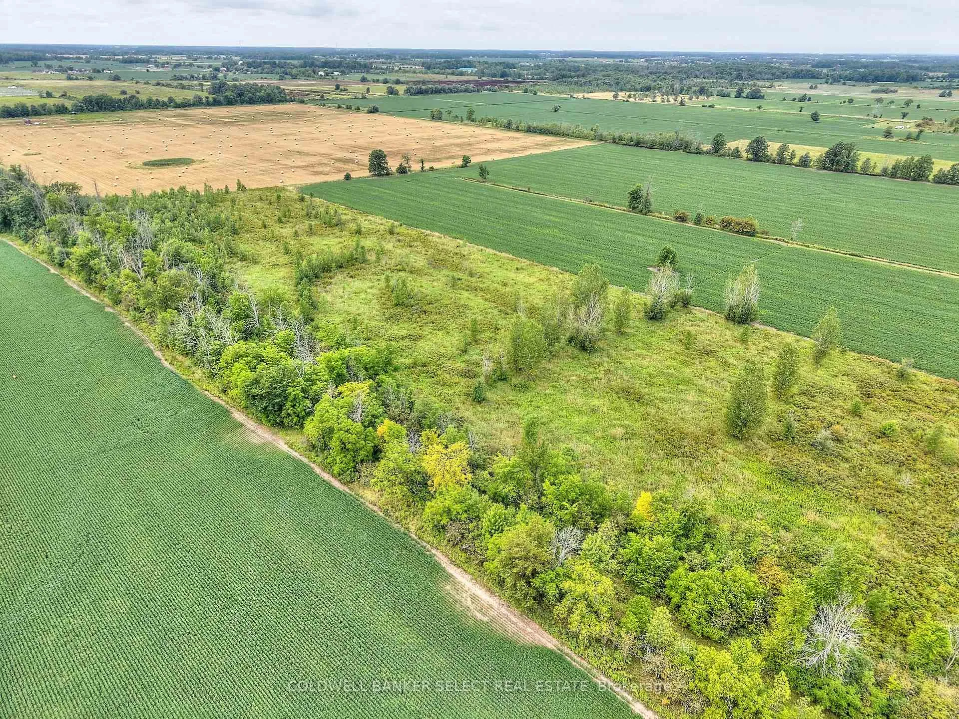 Photo 10 of 5 Alway Road, Grimsby, Grimsby Escarpment — HOMEH