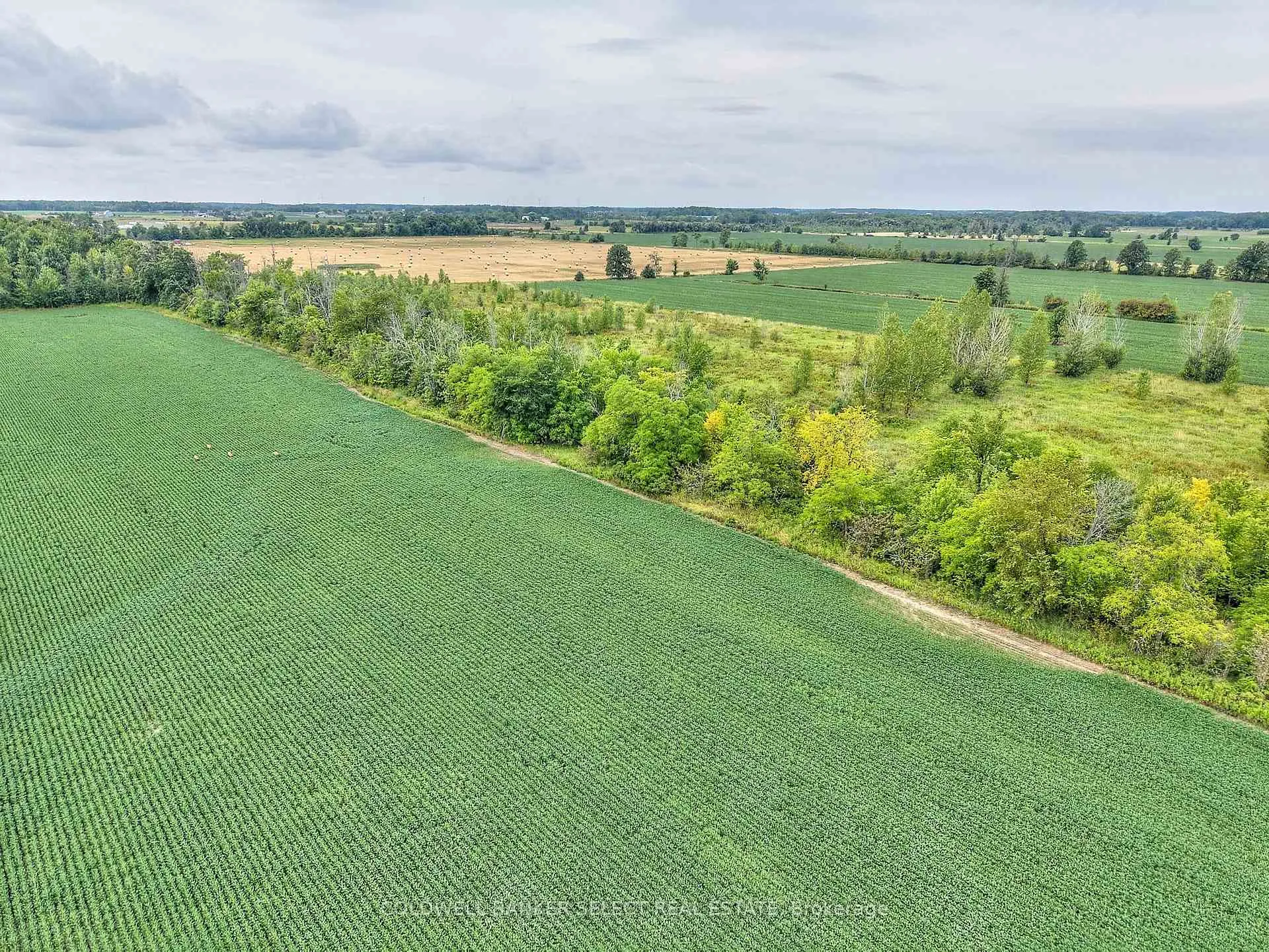 Photo 12 of 5 Alway Road, Grimsby, Grimsby Escarpment — HOMEH