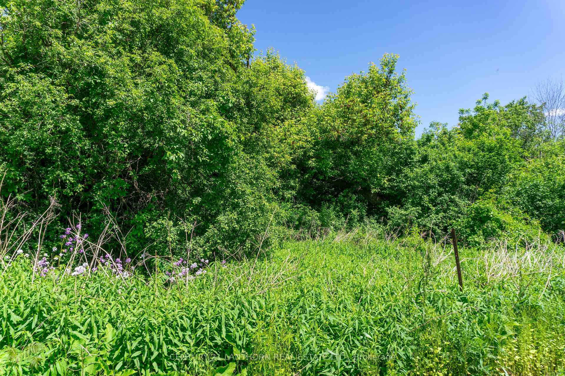 Photo 4 of 00 Old Hwy 2, Belleville, Belleville Ward — HOMEH