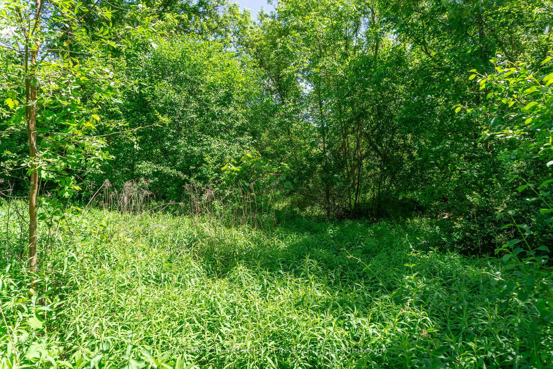 Photo 6 of 00 Old Hwy 2, Belleville, Belleville Ward — HOMEH