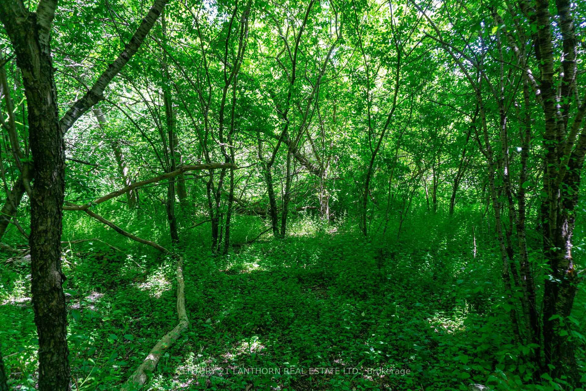Photo 8 of 00 Old Hwy 2, Belleville, Belleville Ward — HOMEH