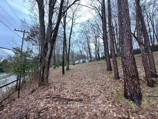 Photo 14 of 452 Champlain Road, Tiny, Rural Tiny — HOMEH