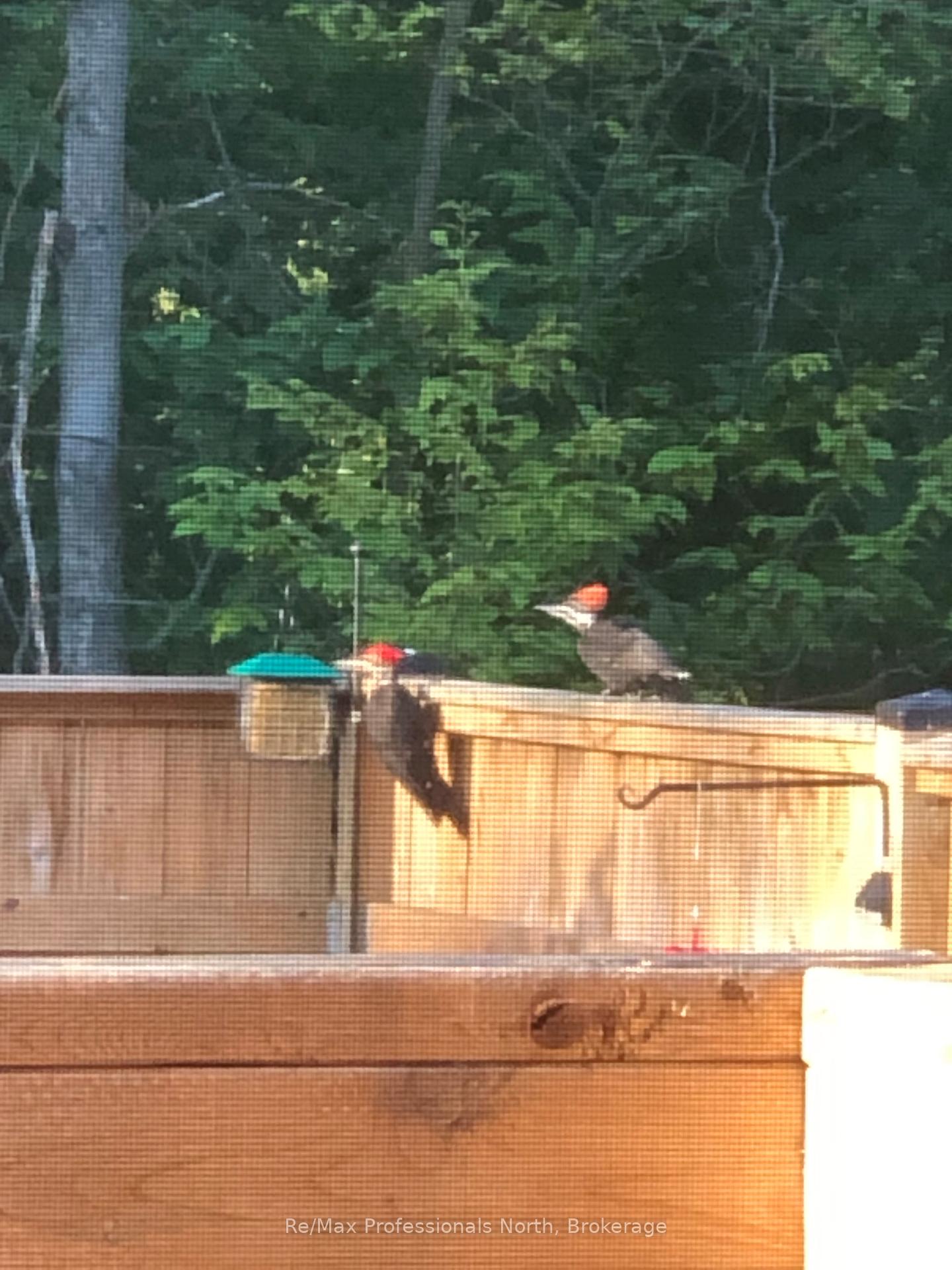 Photo 39 of 283 Pine Street, Gravenhurst, Muskoka (S) — HOMEH