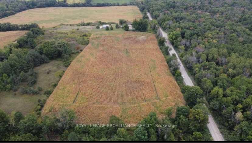 Photo 3 of 399 Dawson Road, Cramahe, Castleton — HOMEH