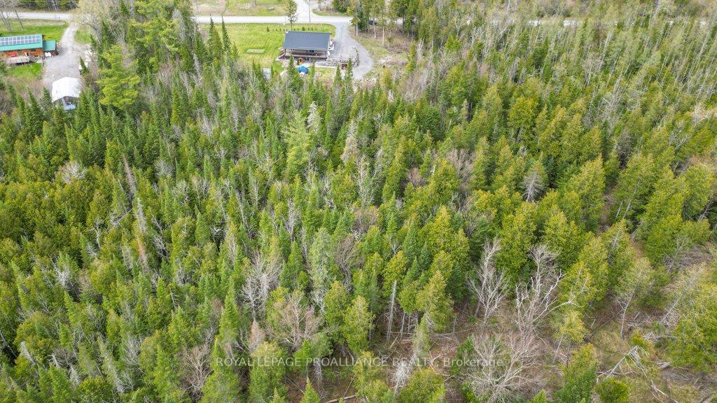 Photo 40 of 1554 Shannon Road, Tyendinaga, Tyendinaga Township — HOMEH