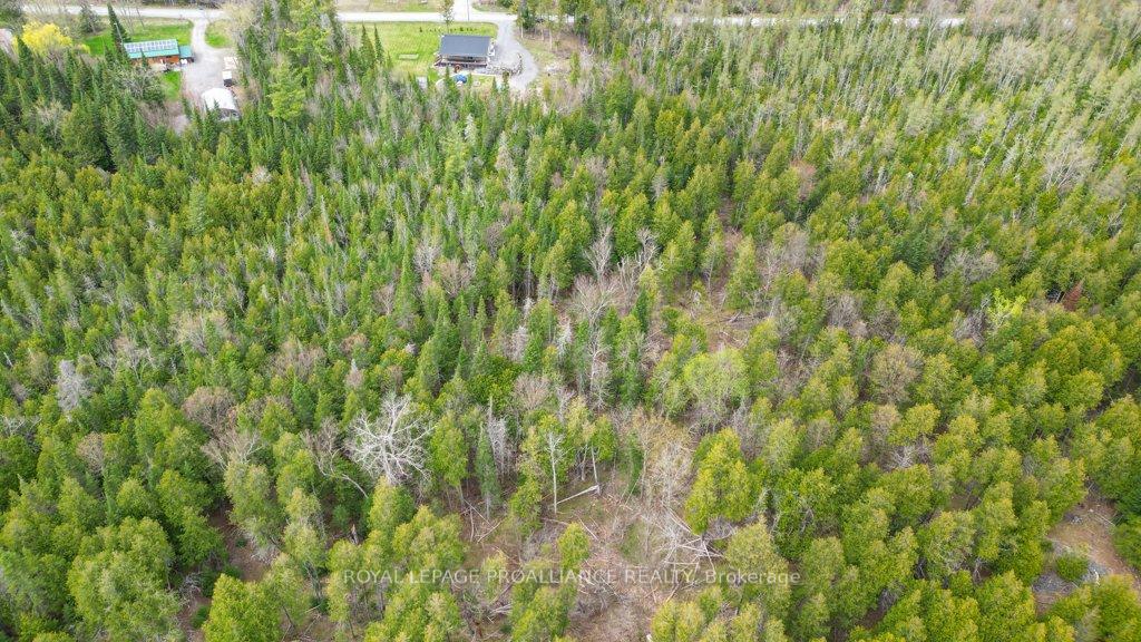 Photo 44 of 1554 Shannon Road, Tyendinaga, Tyendinaga Township — HOMEH