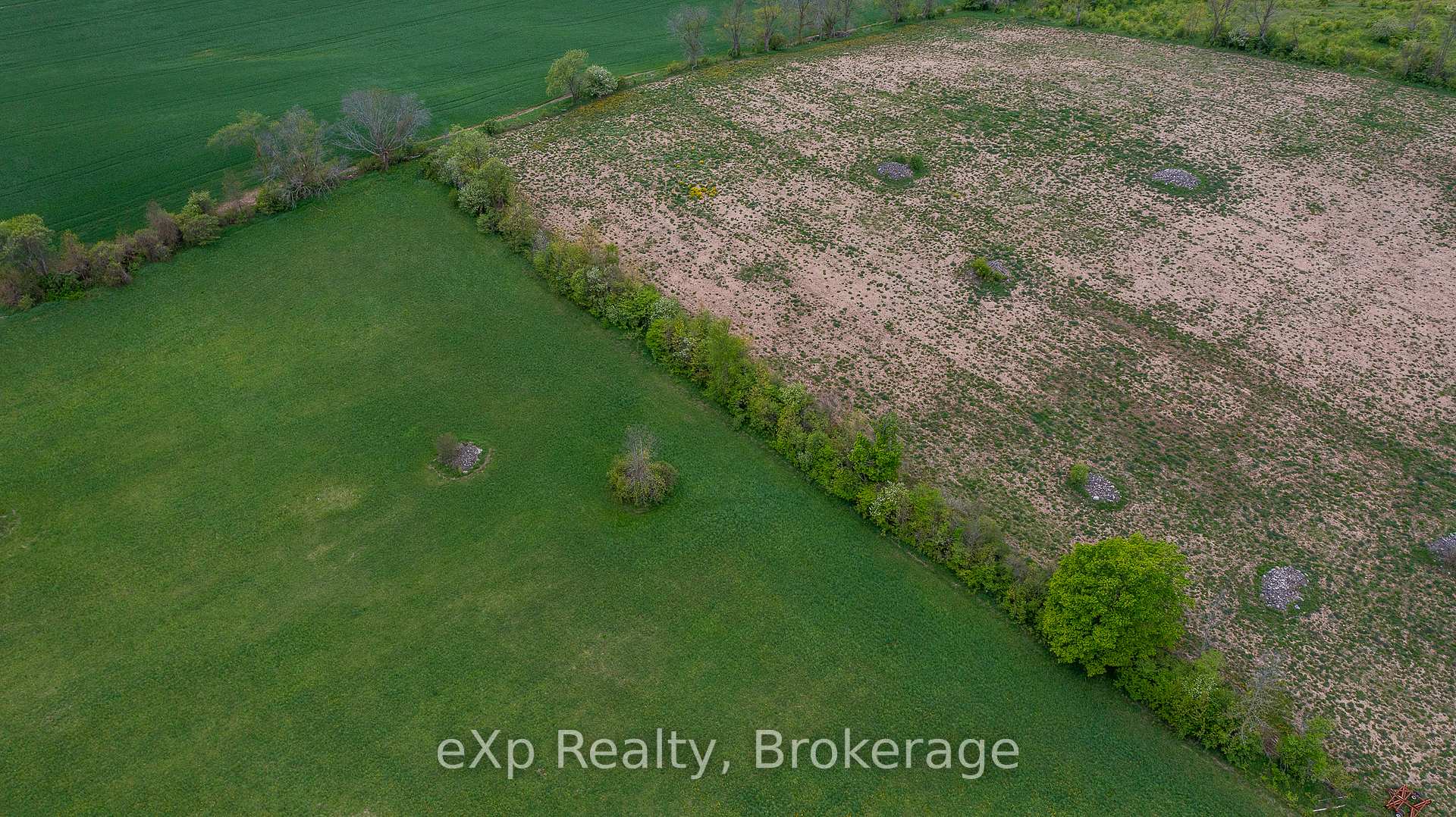 Photo 8 of 216 Concession 10 E, Arran-Elderslie — HOMEH