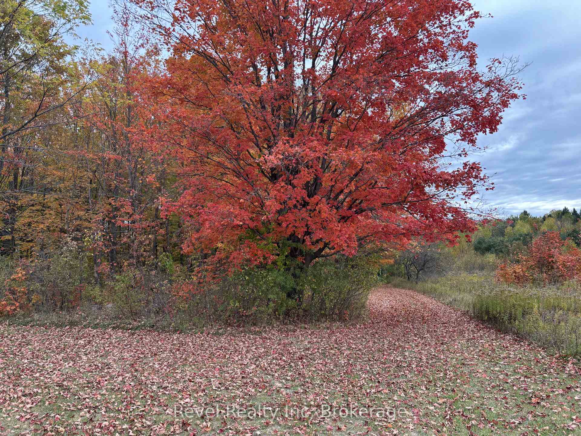 Photo 46 of 7190 93 Highway, Tiny, Rural Tiny — HOMEH