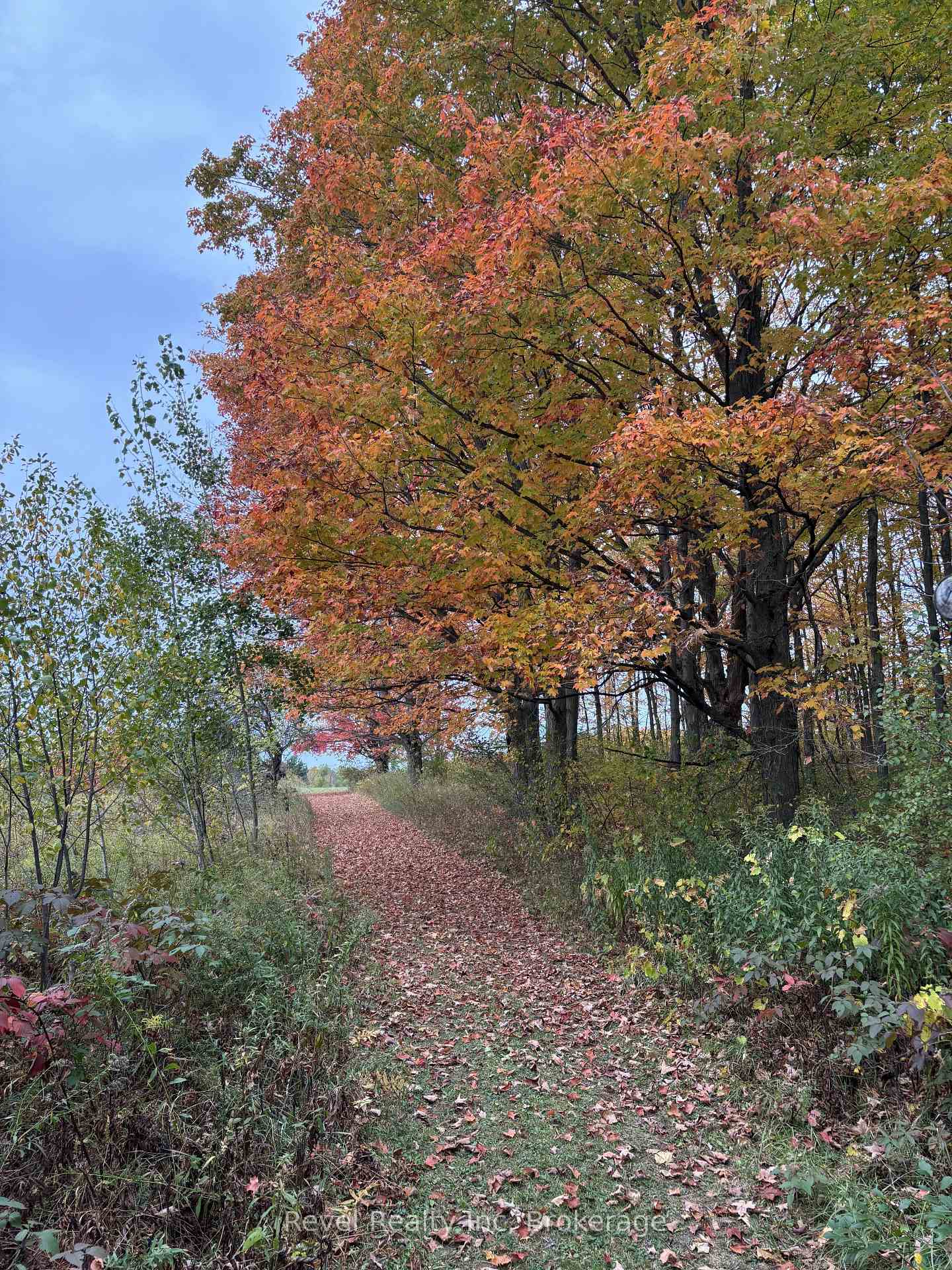 Photo 49 of 7190 93 Highway, Tiny, Rural Tiny — HOMEH