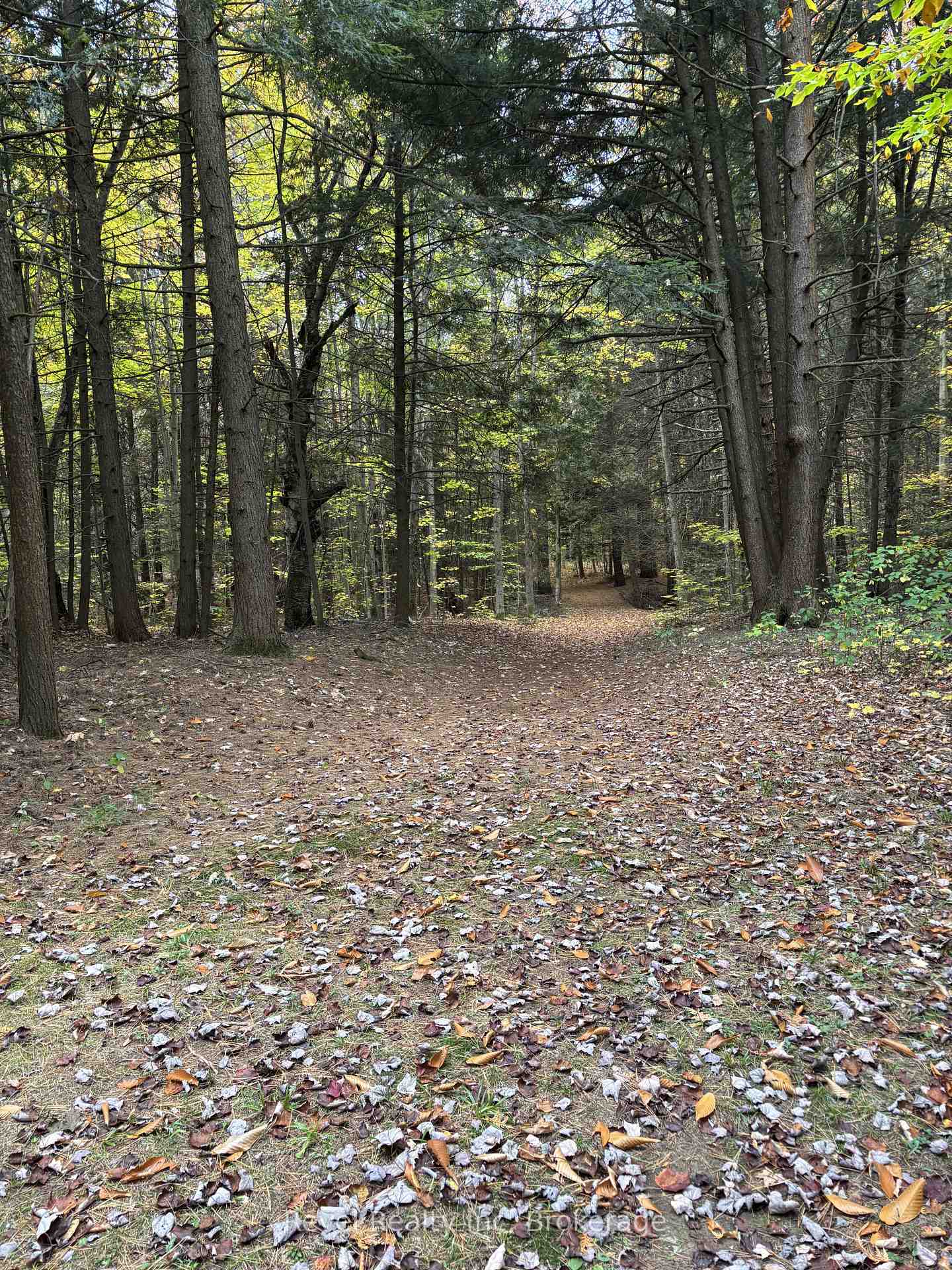 Photo 47 of 7190 93 Highway, Tiny, Rural Tiny — HOMEH