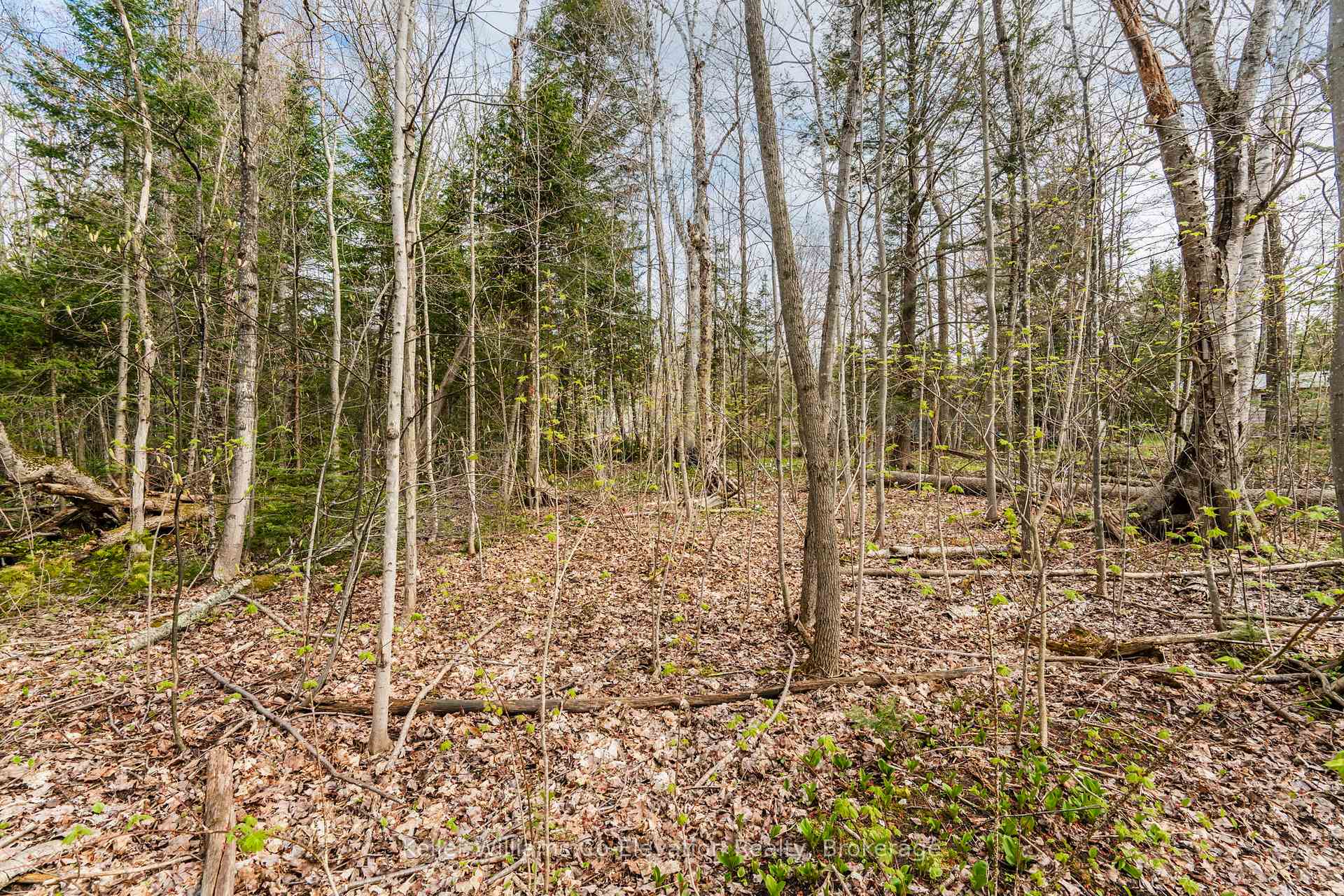 Photo 15 of Lot 273 Gary Court, Tiny, Rural Tiny — HOMEH
