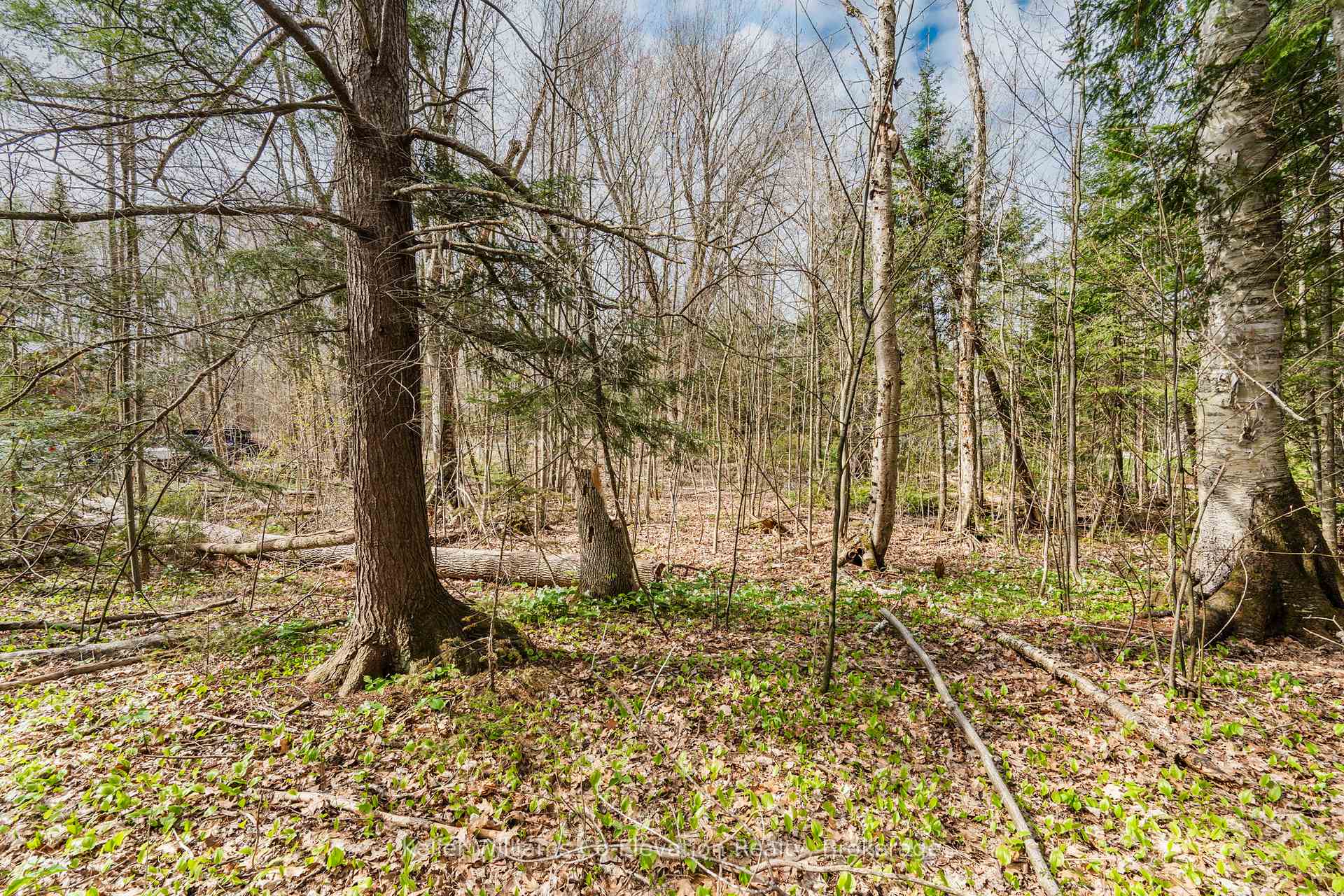 Photo 14 of Lot 273 Gary Court, Tiny, Rural Tiny — HOMEH