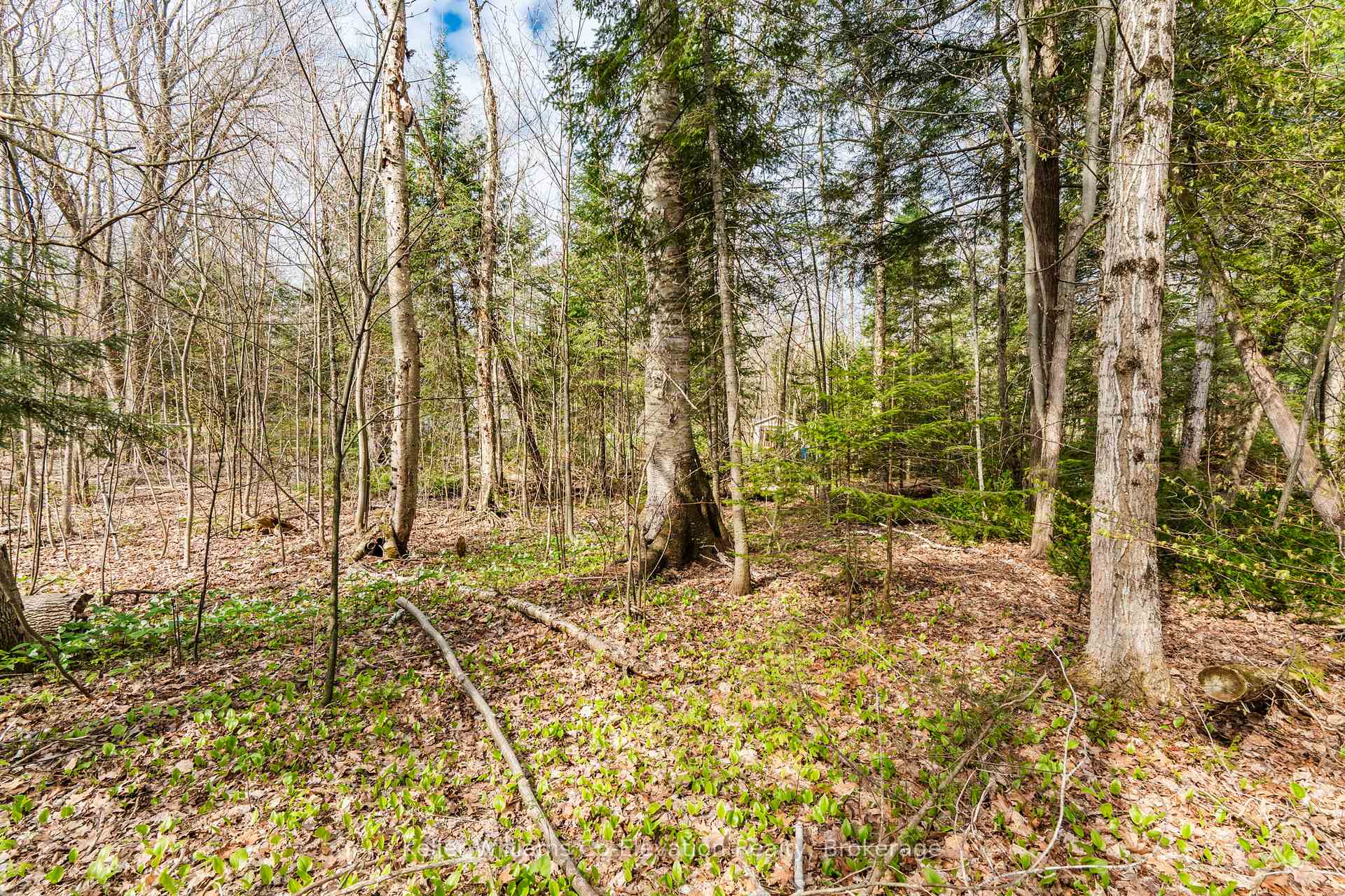Photo 20 of Lot 273 Gary Court, Tiny, Rural Tiny — HOMEH