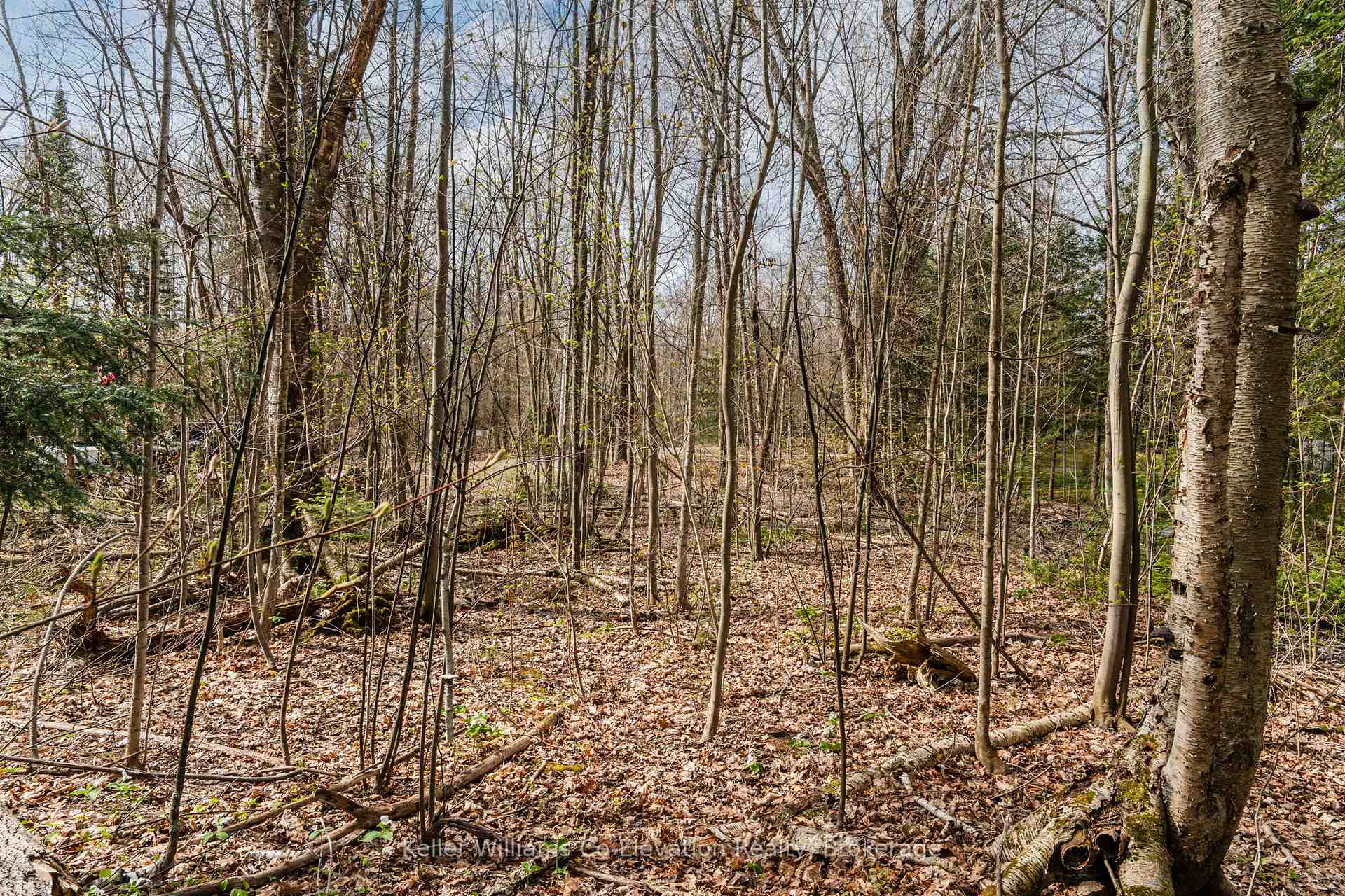 Photo 10 of Lot 273 Gary Court, Tiny, Rural Tiny — HOMEH