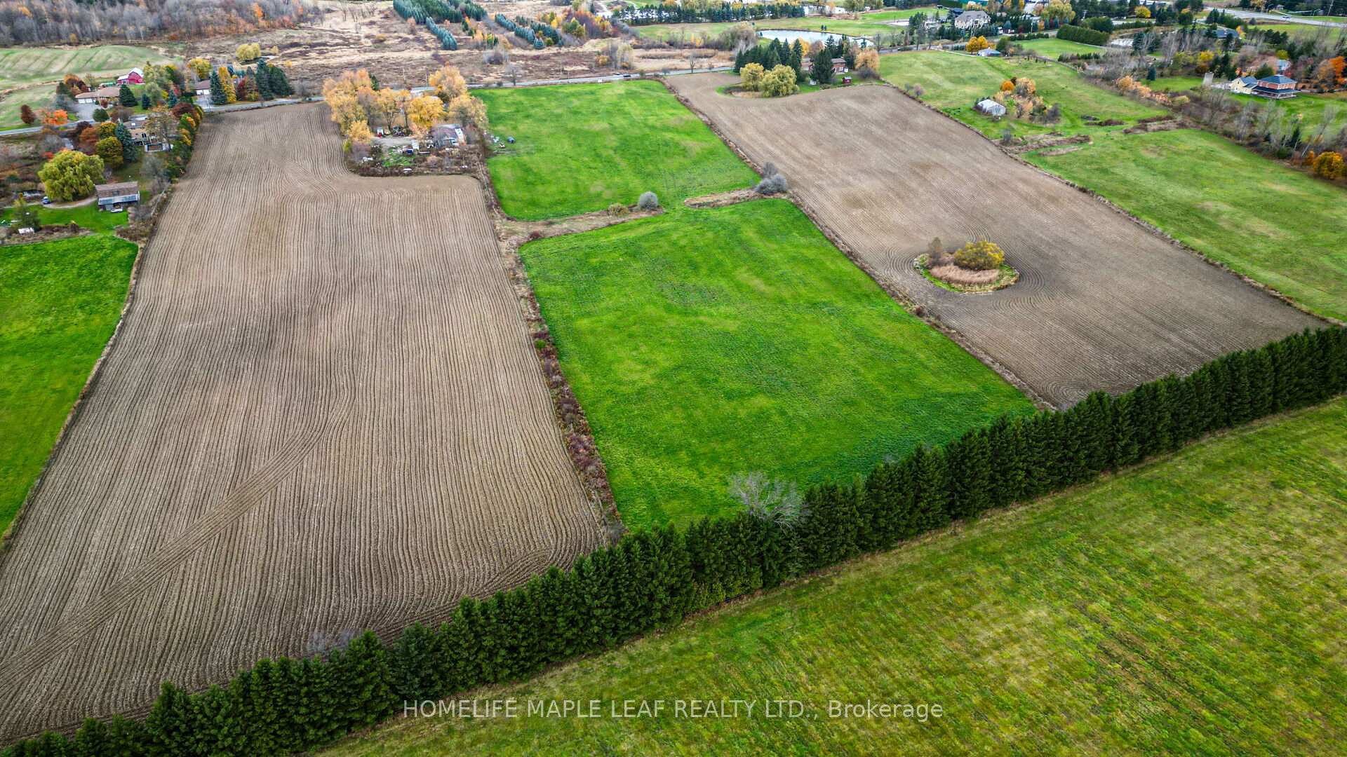 Photo 5 of 6255 17TH Side Road, King, Schomberg — HOMEH