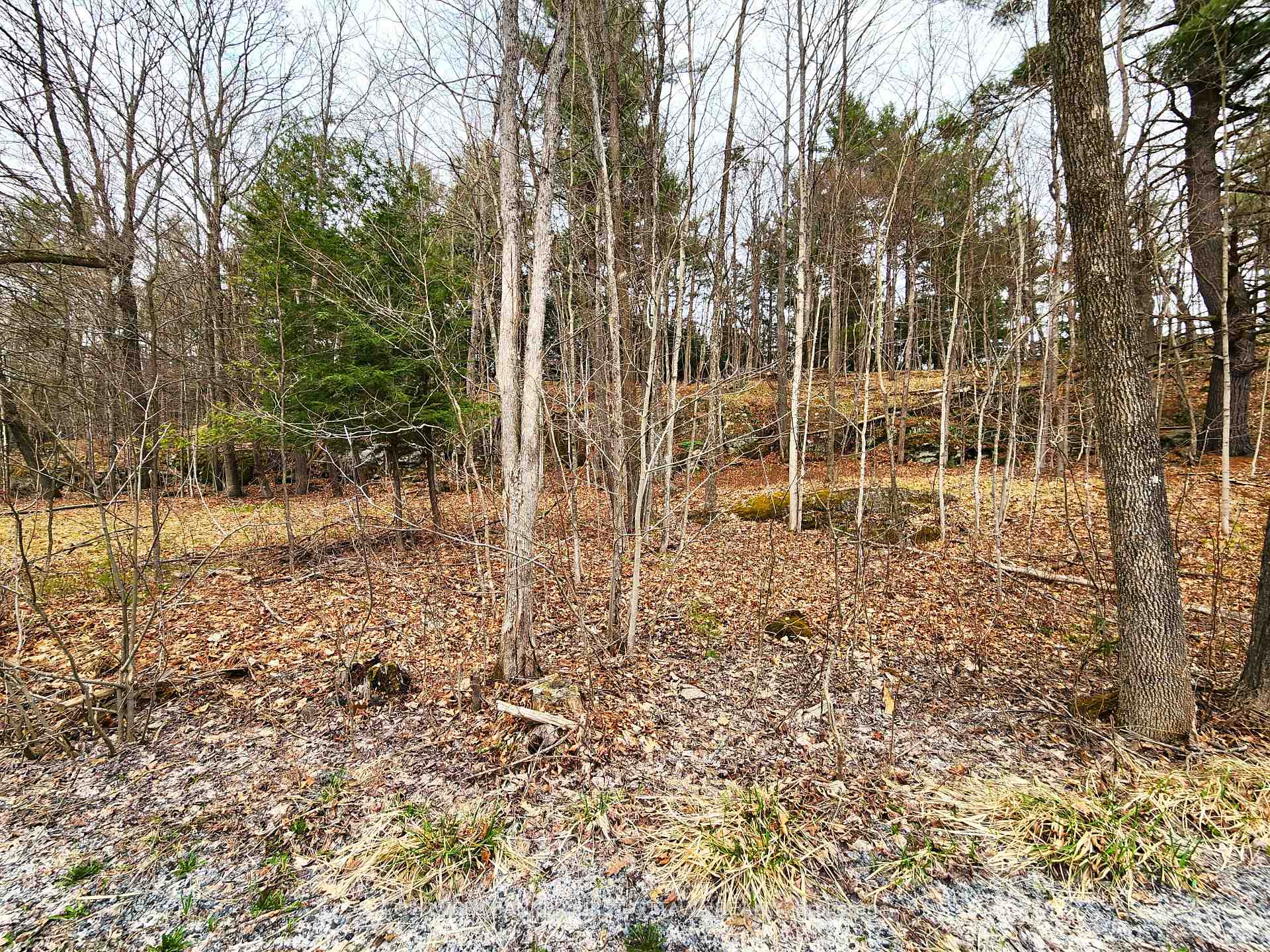 Photo 6 of 00 Roushorn Road, Frontenac, Frontenac South — HOMEH