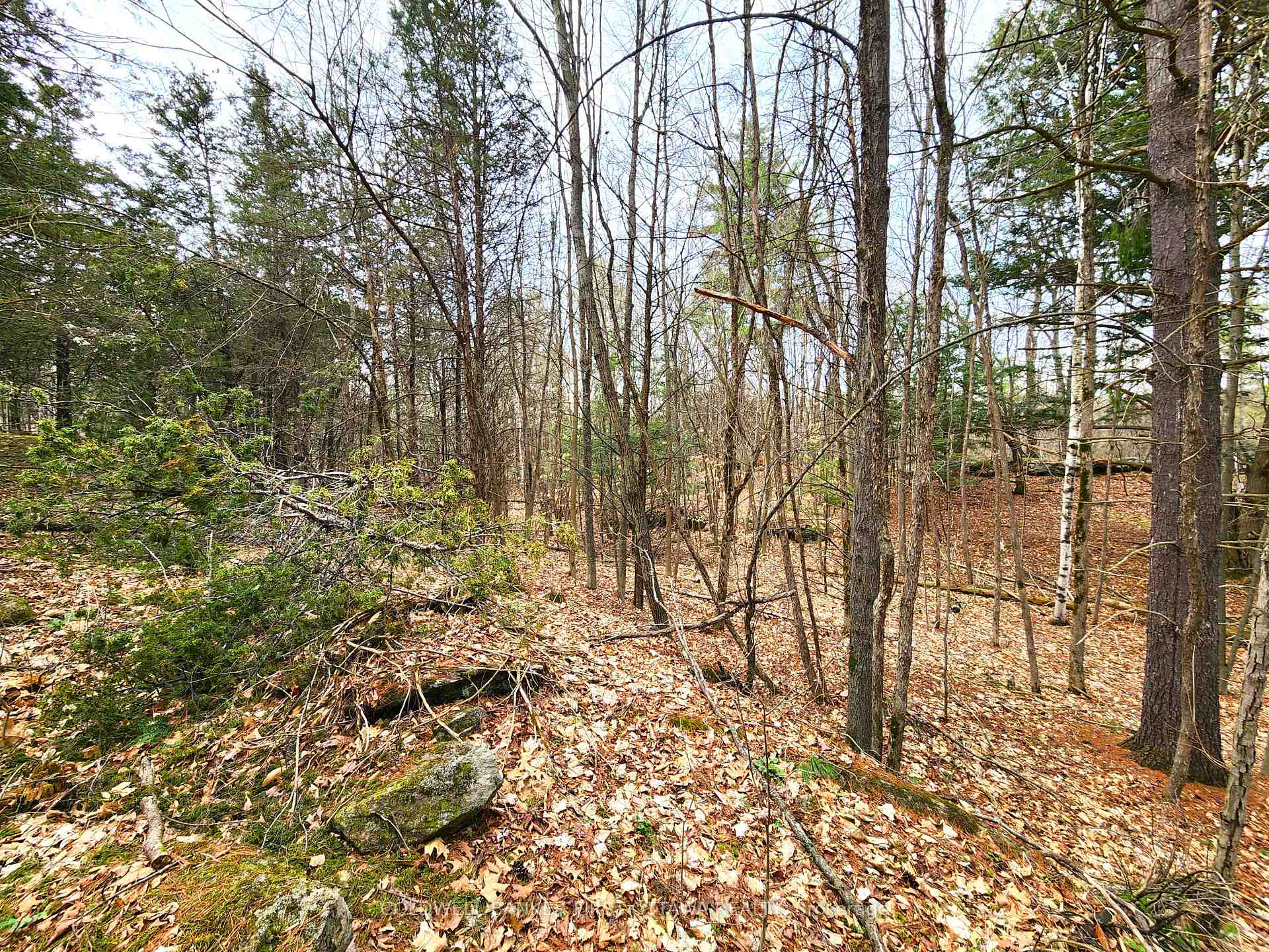 Photo 8 of 00 Roushorn Road, Frontenac, Frontenac South — HOMEH