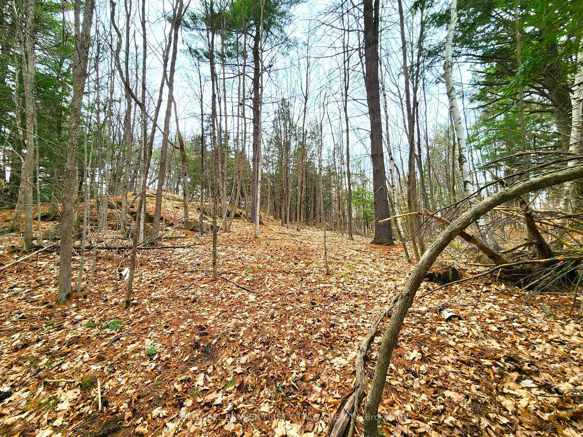 Photo 13 of 00 Roushorn Road, Frontenac, Frontenac South — HOMEH