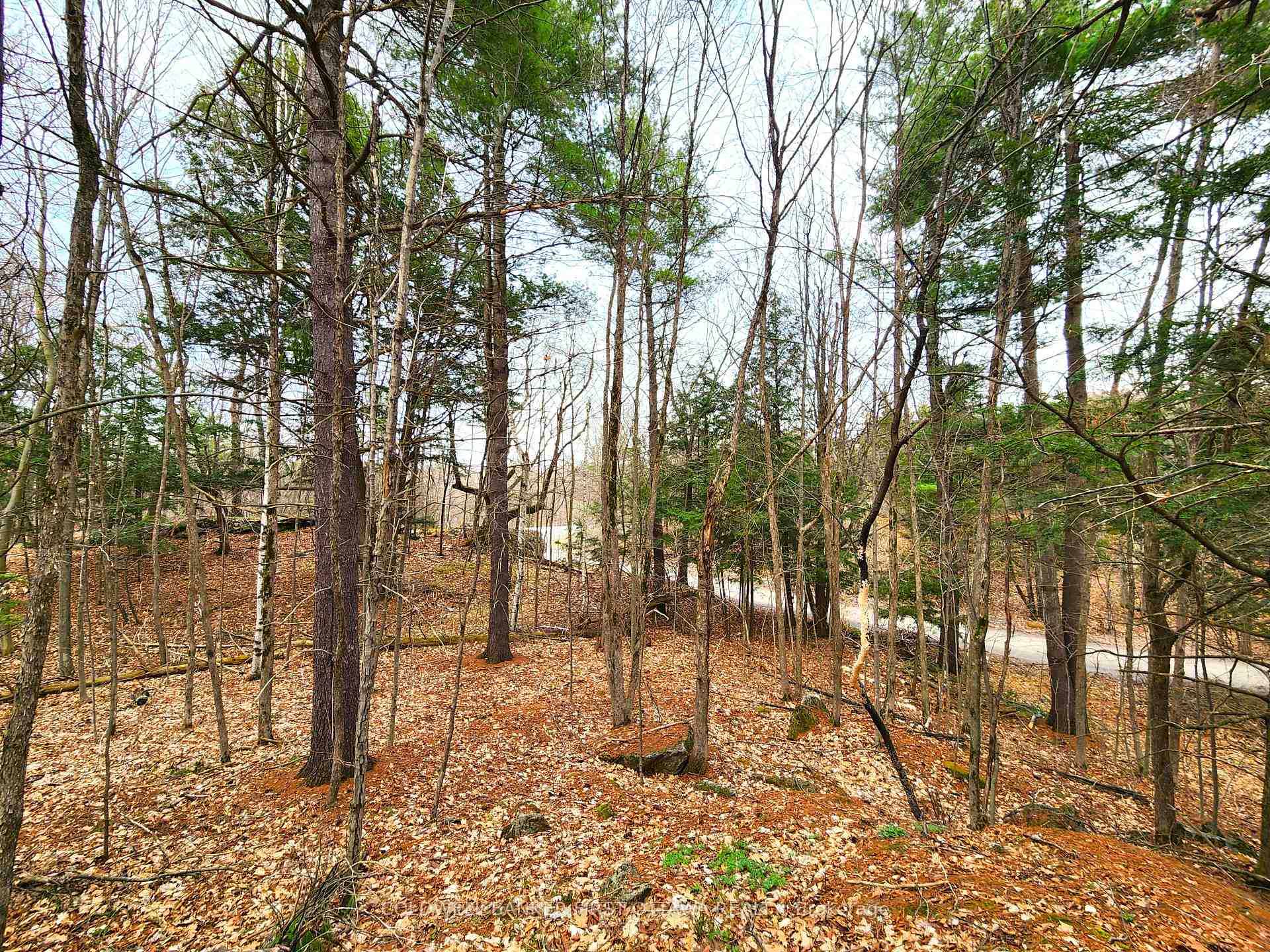 Photo 7 of 00 Roushorn Road, Frontenac, Frontenac South — HOMEH