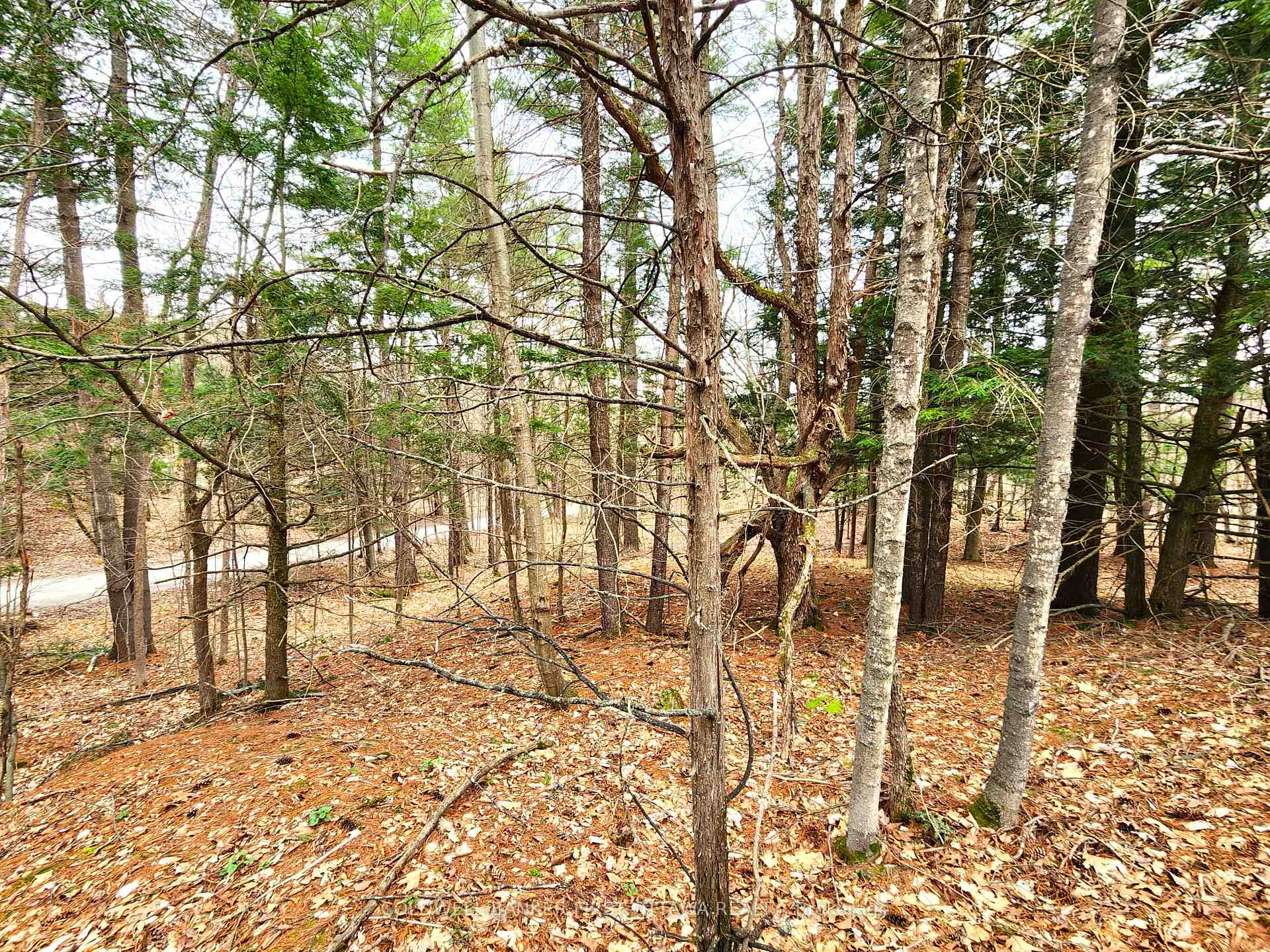 Photo 12 of 00 Roushorn Road, Frontenac, Frontenac South — HOMEH