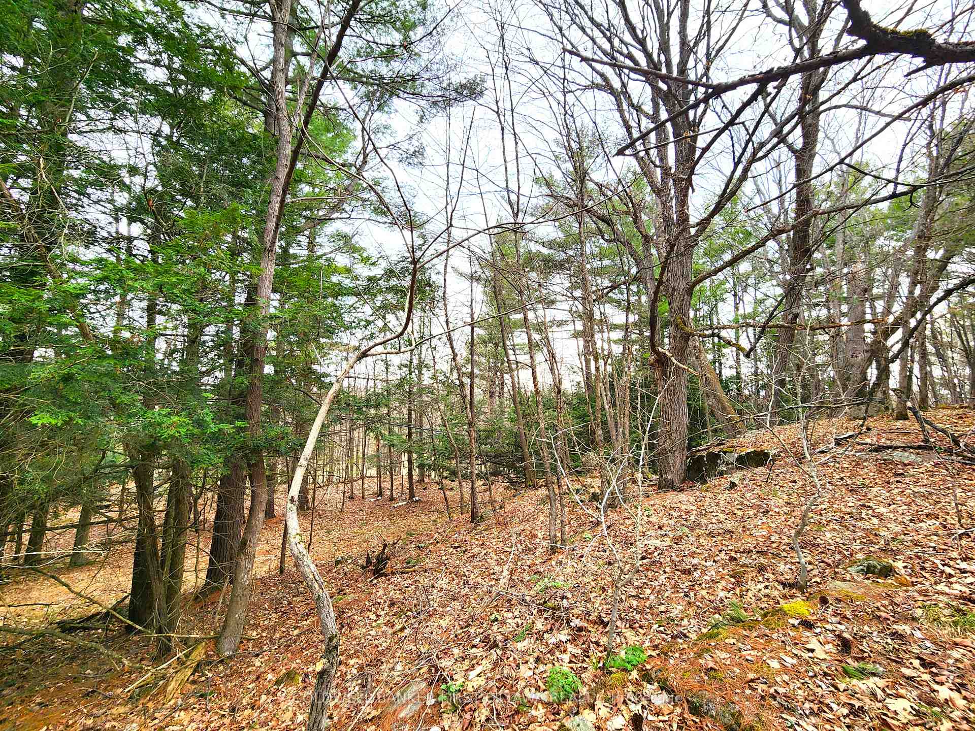 Photo 10 of 00 Roushorn Road, Frontenac, Frontenac South — HOMEH