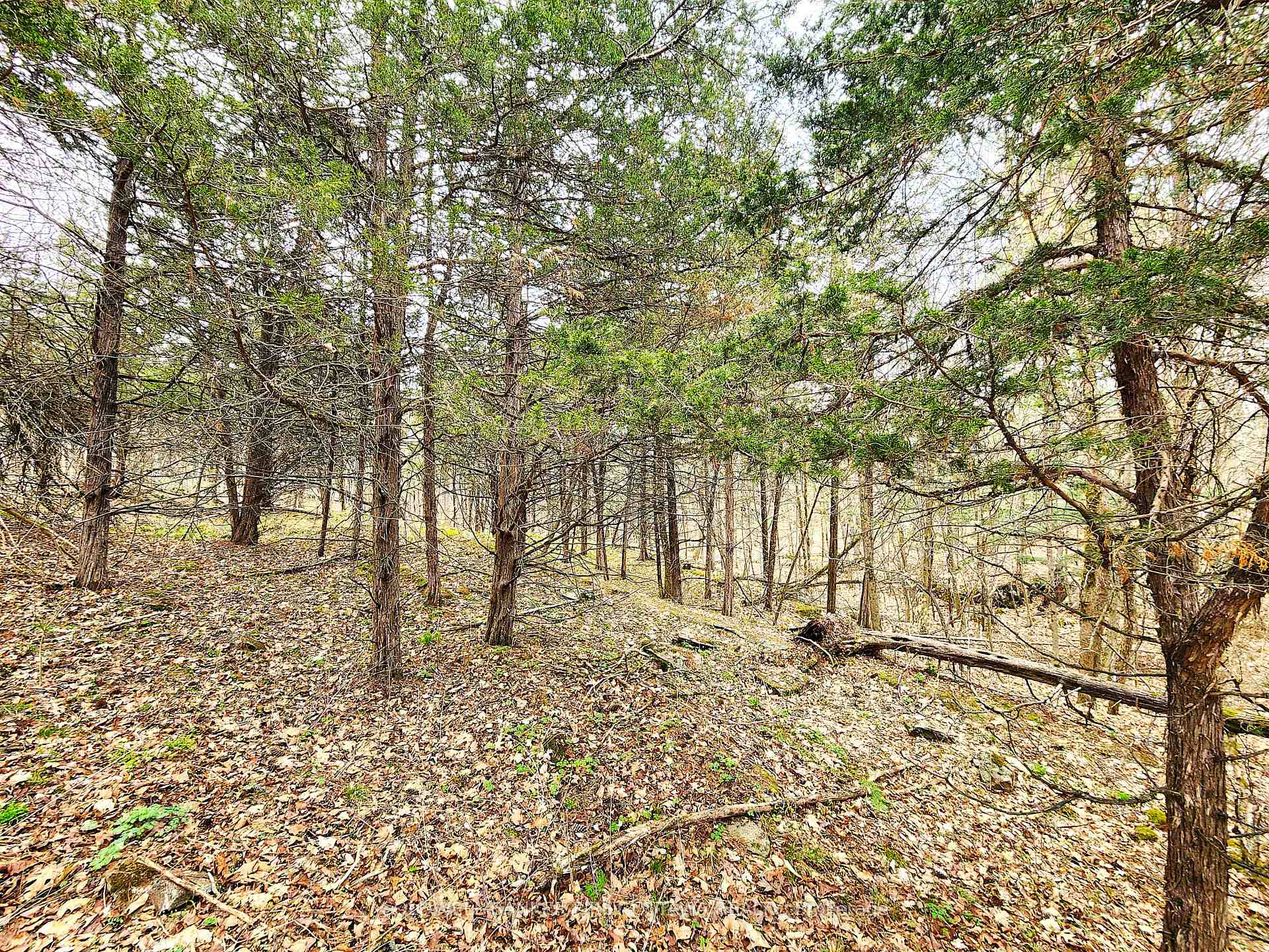 Photo 11 of 00 Roushorn Road, Frontenac, Frontenac South — HOMEH