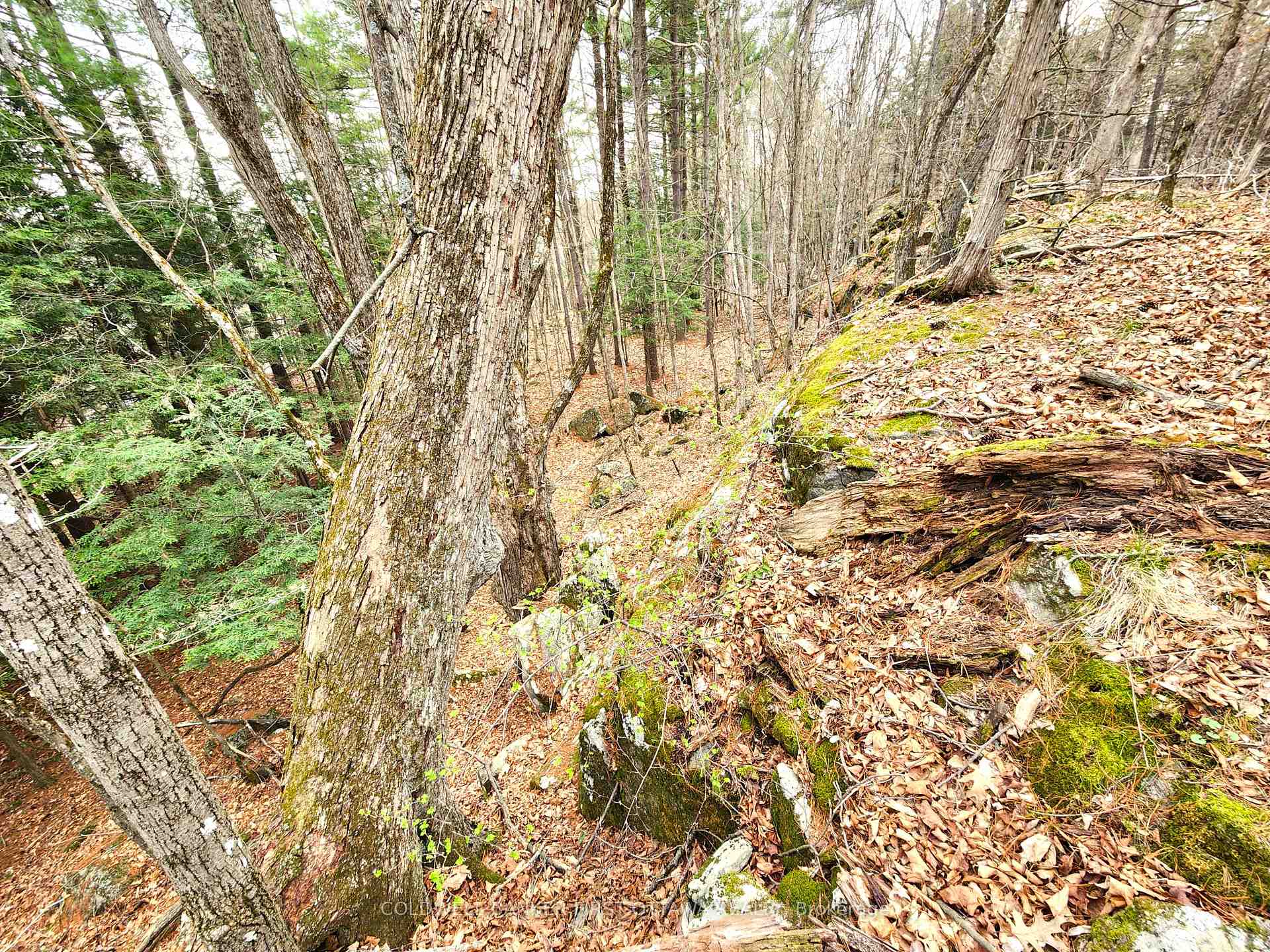 Photo 18 of 00 Roushorn Road, Frontenac, Frontenac South — HOMEH