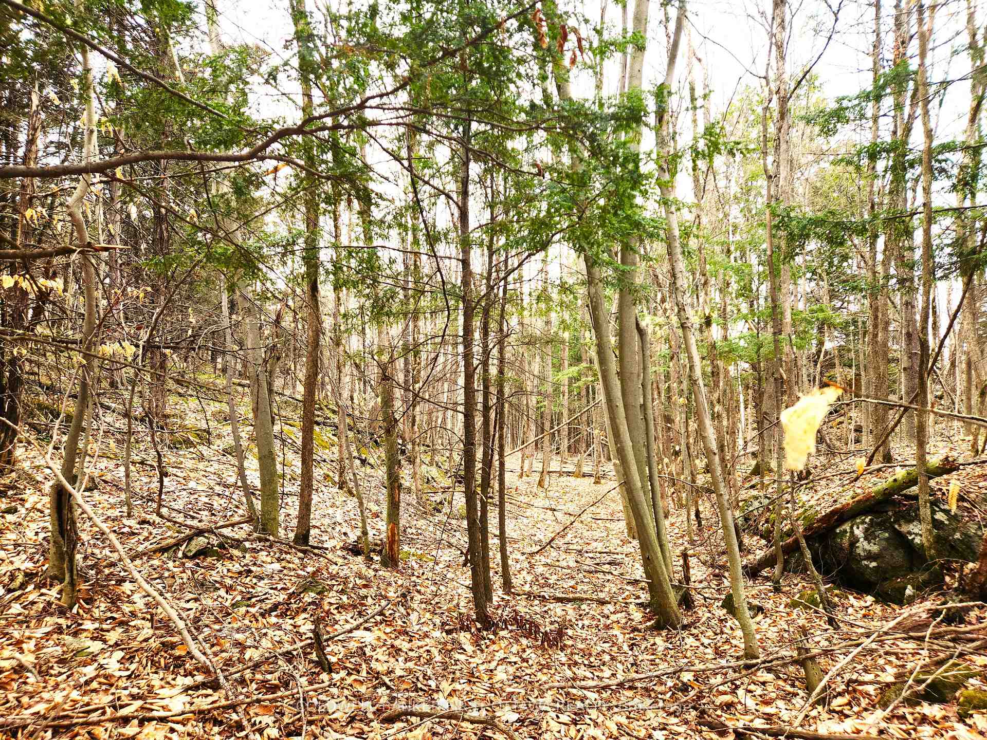 Photo 27 of 00 Roushorn Road, Frontenac, Frontenac South — HOMEH