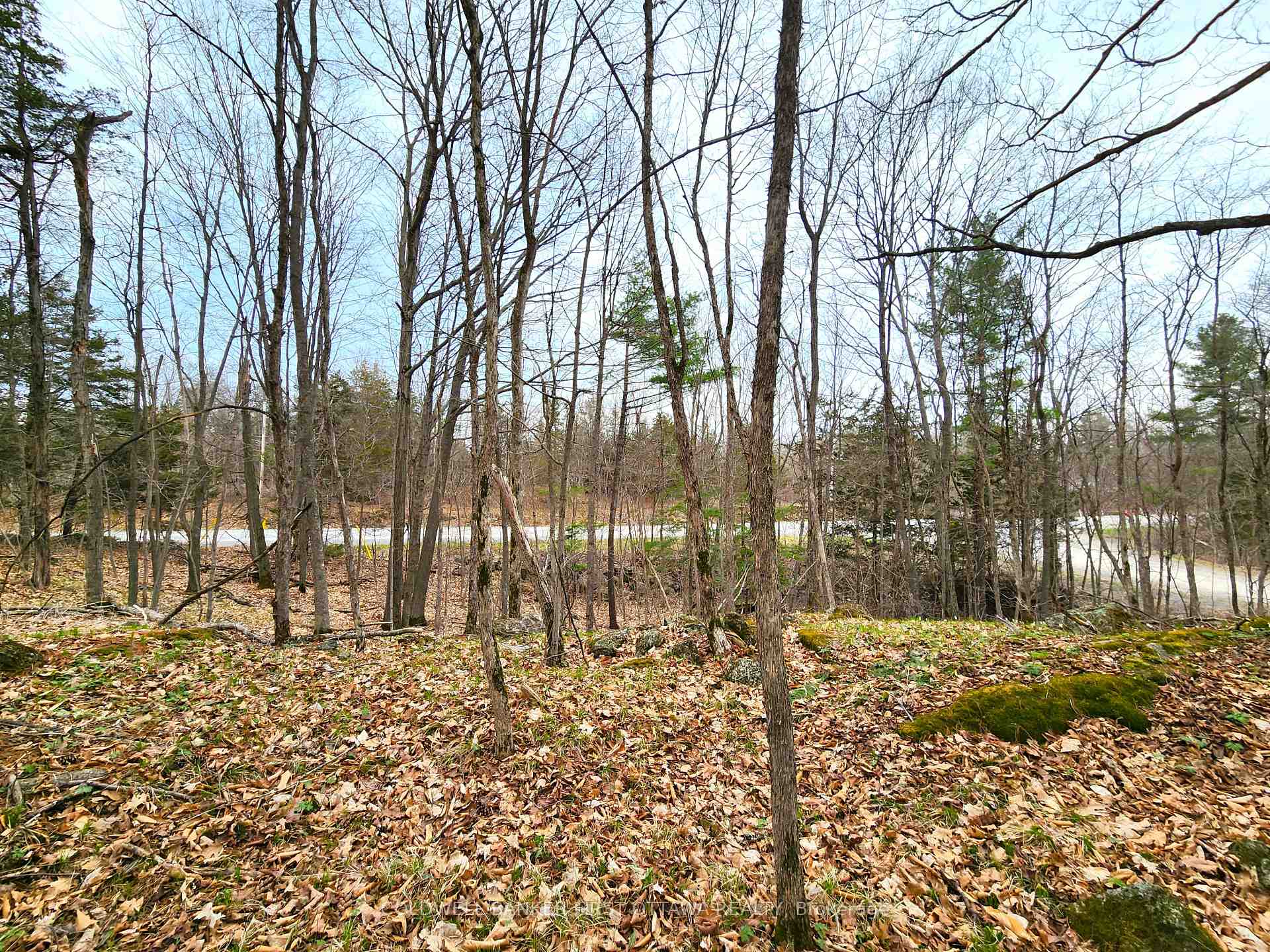 Photo 16 of 00 Roushorn Road, Frontenac, Frontenac South — HOMEH