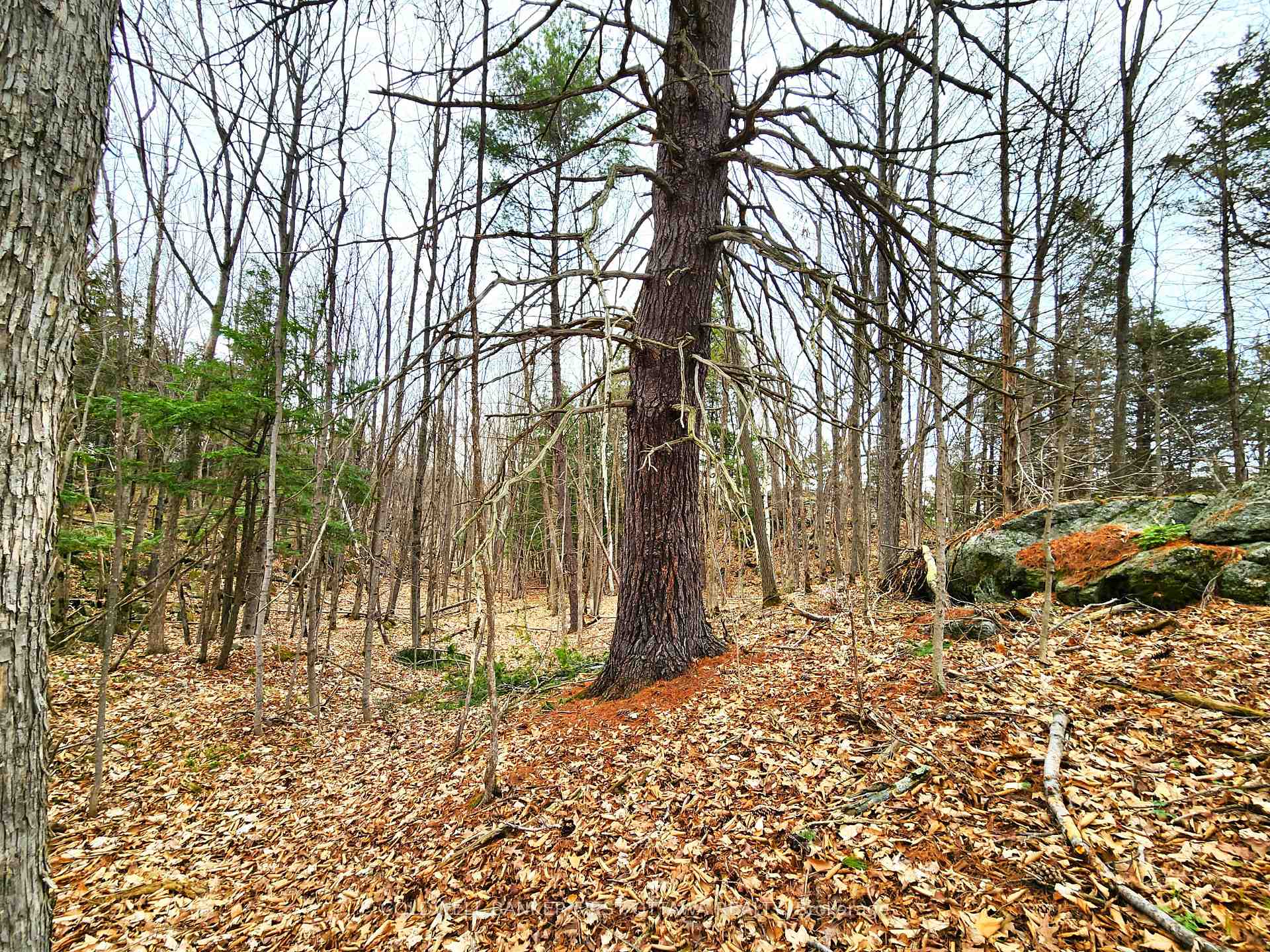 Photo 14 of 00 Roushorn Road, Frontenac, Frontenac South — HOMEH