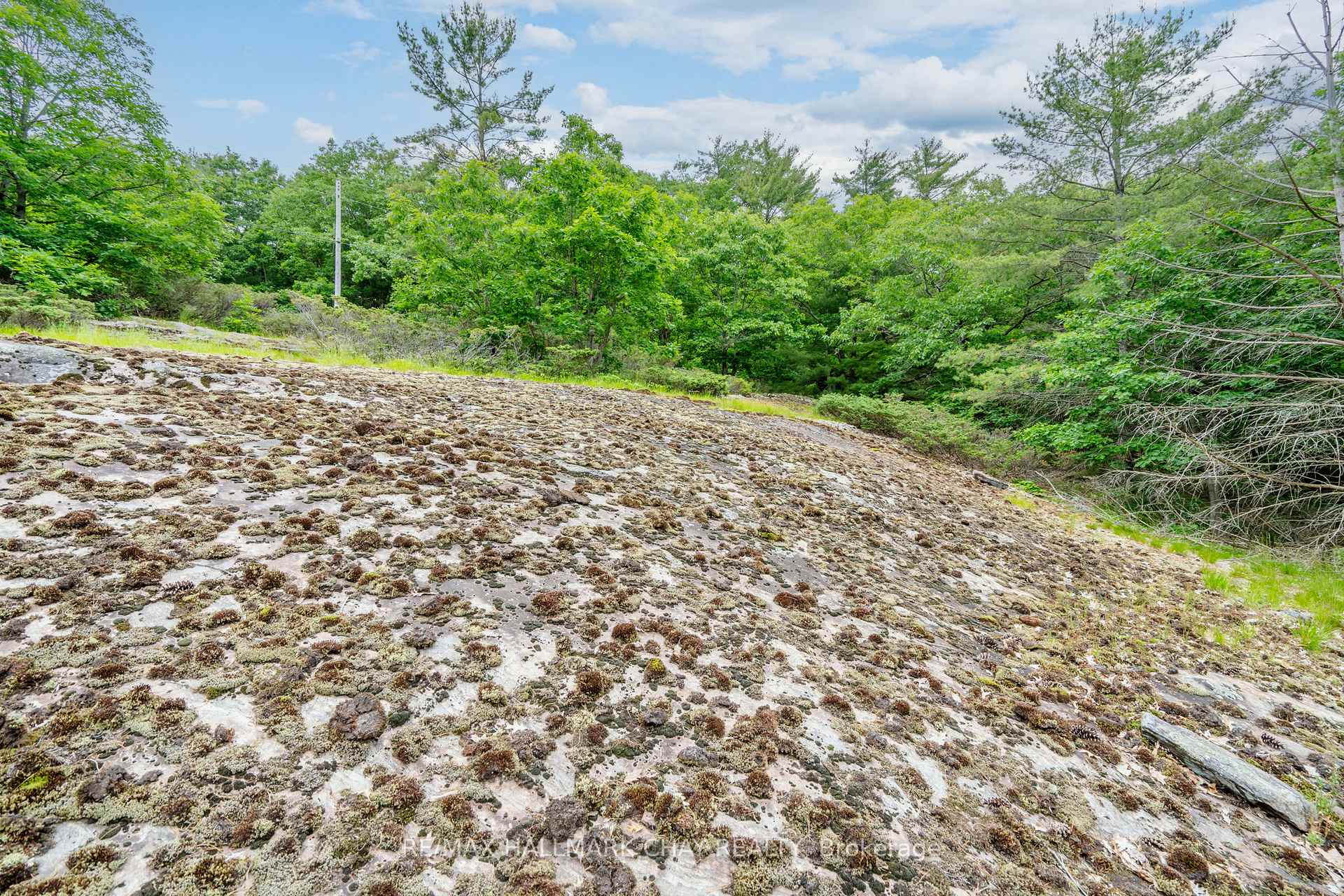 Photo 27 of Lot 2 Delta Road, Severn, Rural Severn — HOMEH