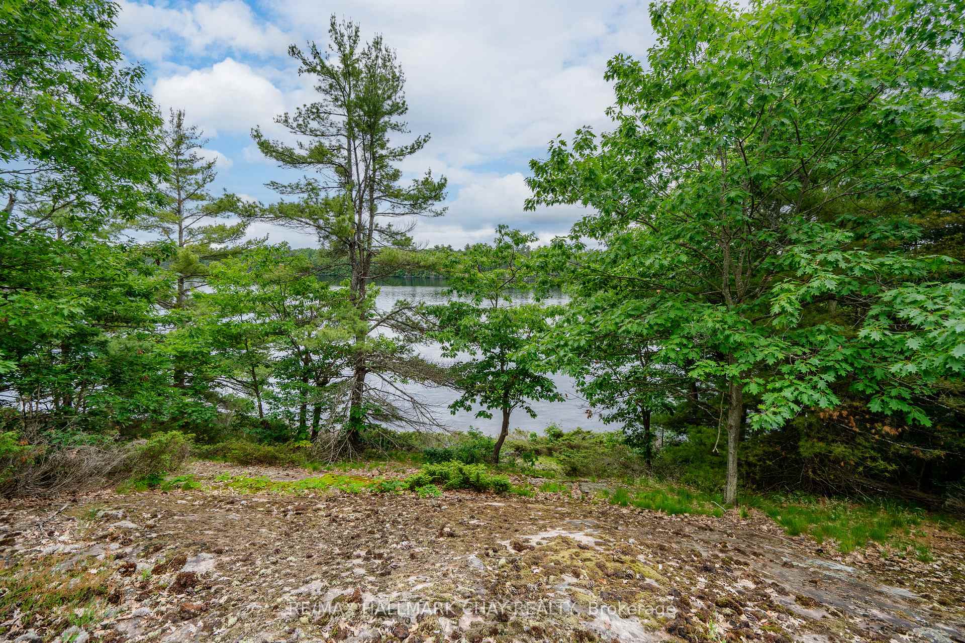 Photo 10 of Lot 2 Delta Road, Severn, Rural Severn — HOMEH